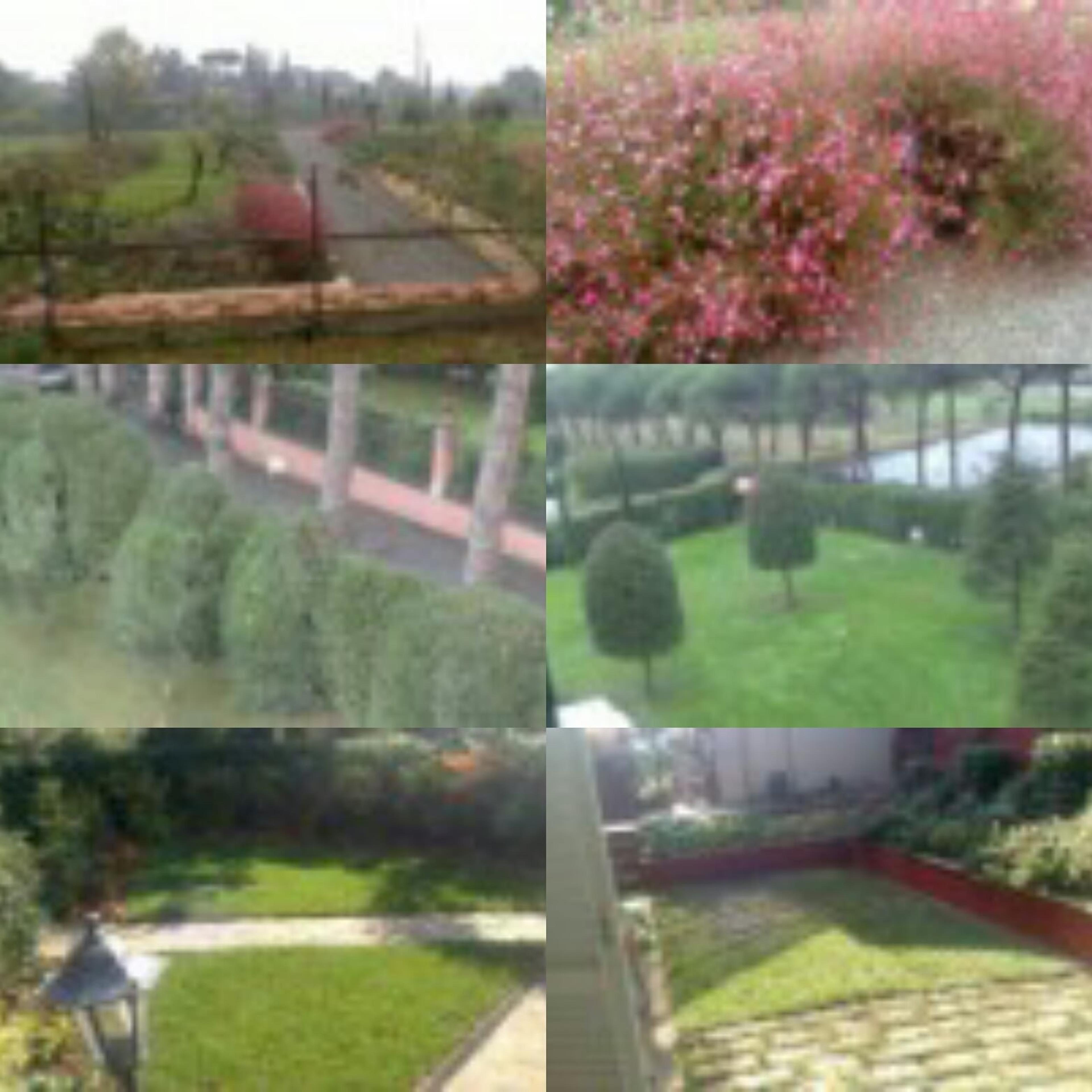 0e5f2ddb-6abd-4e52-999f-a74c520af22a.jpg