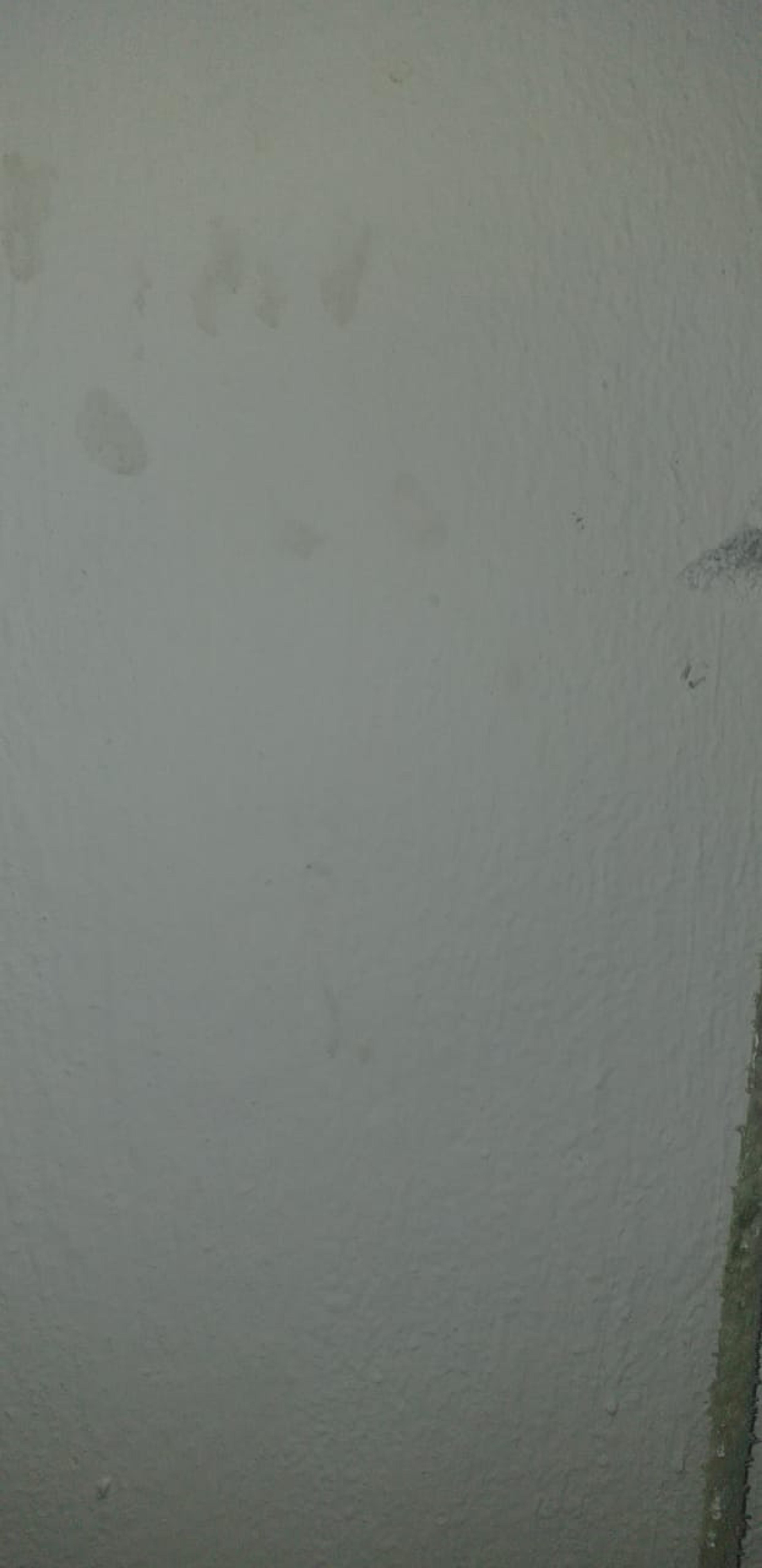 0e7ac406-a191-4b1a-9f12-d520e1993ce1.jpeg
