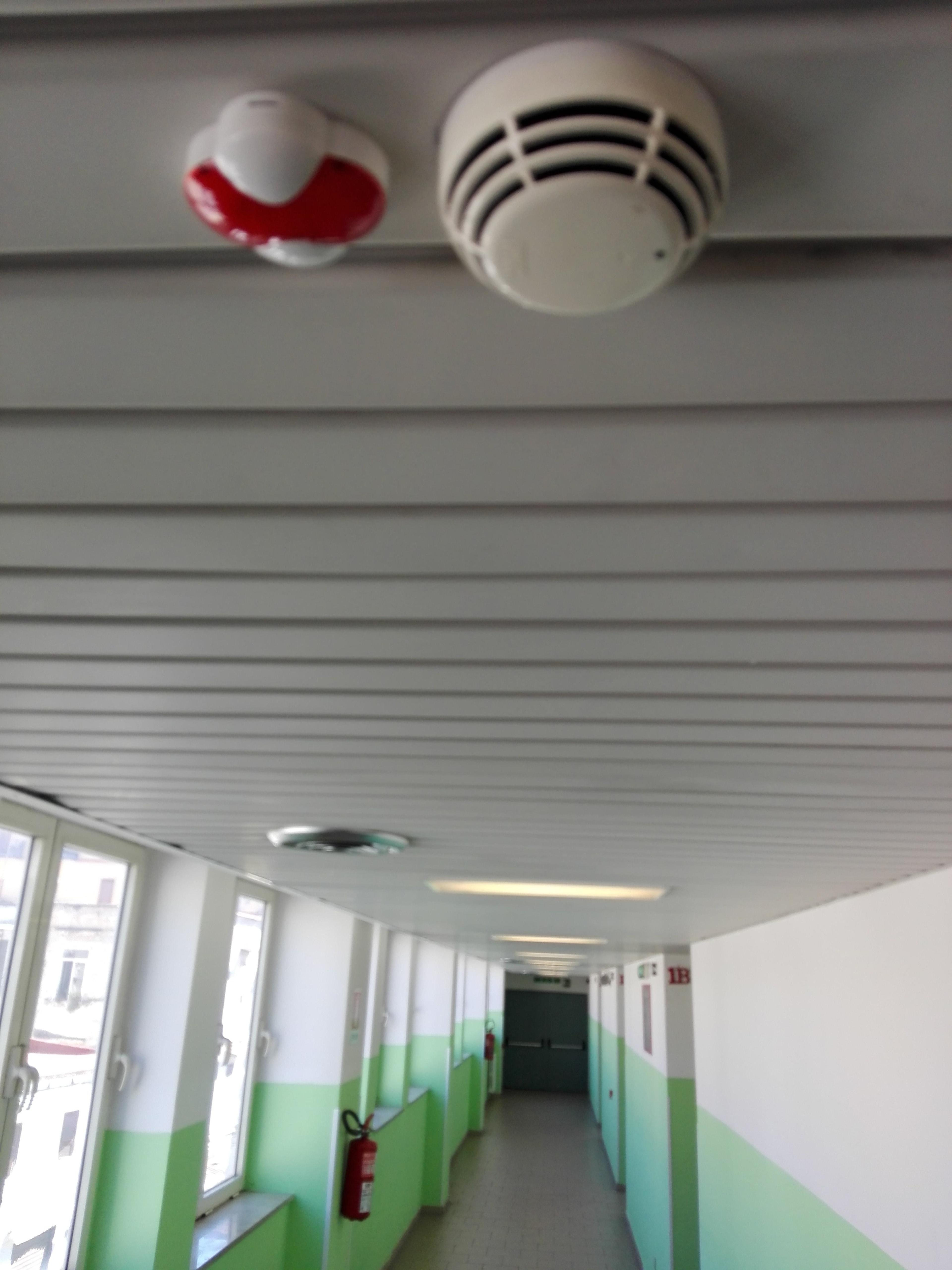 0fa1e5ae-5dac-409d-96b6-83e9c96df265.jpeg