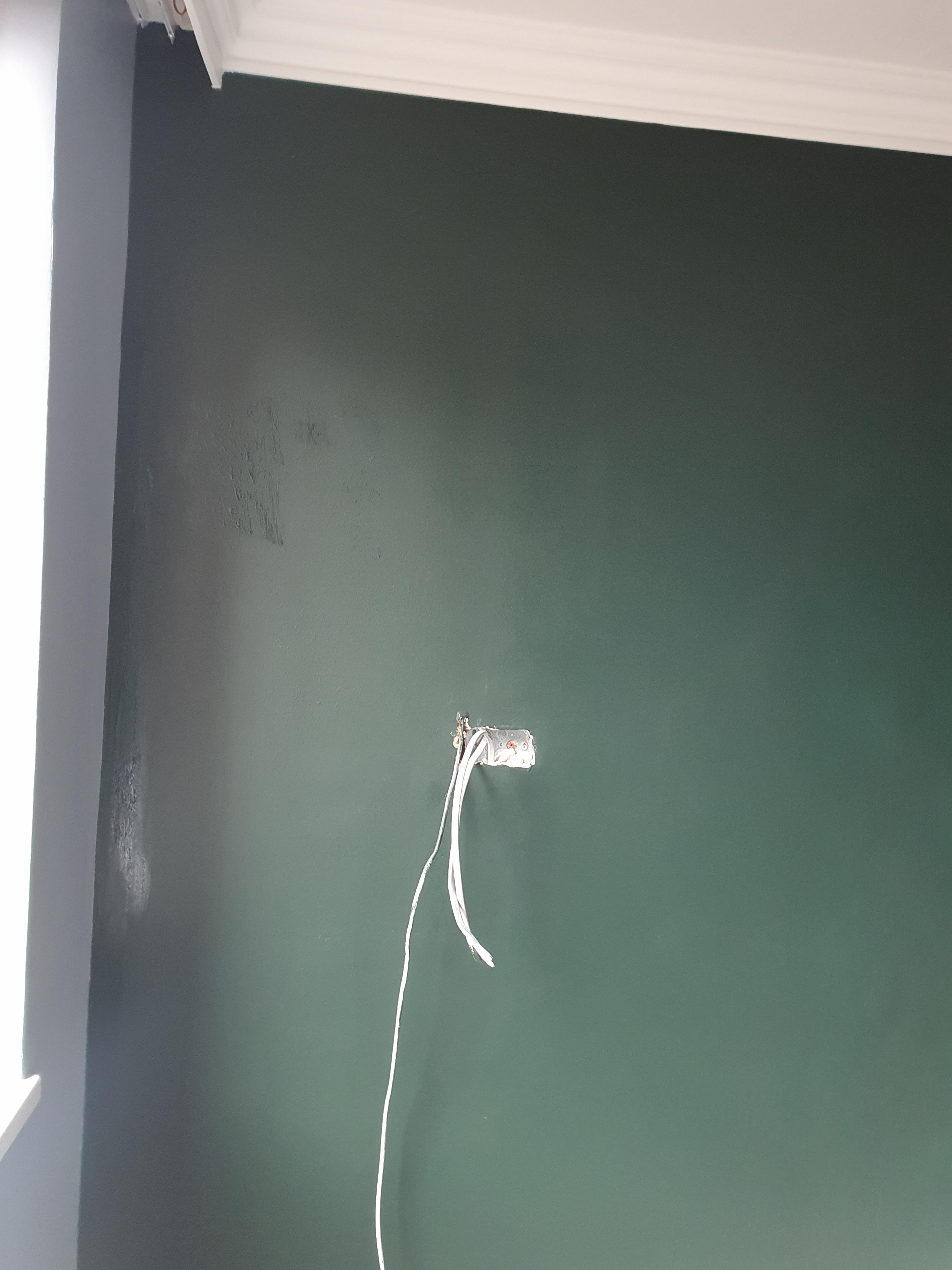 100d28ee-3469-4188-85d5-9d50e8c18f4a.jpeg