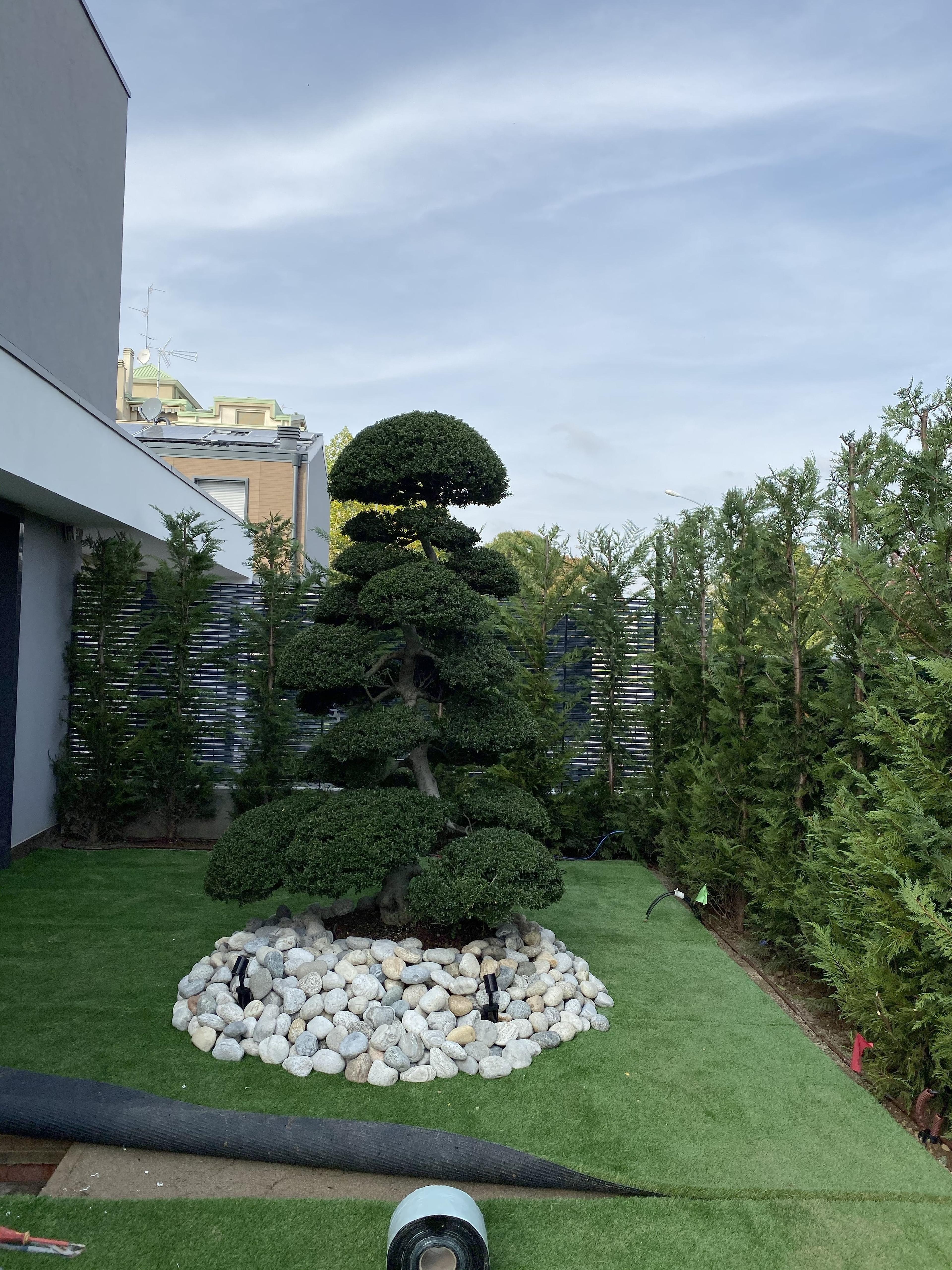 10144227-0ebc-47b0-bf30-25e785d364d5.jpeg