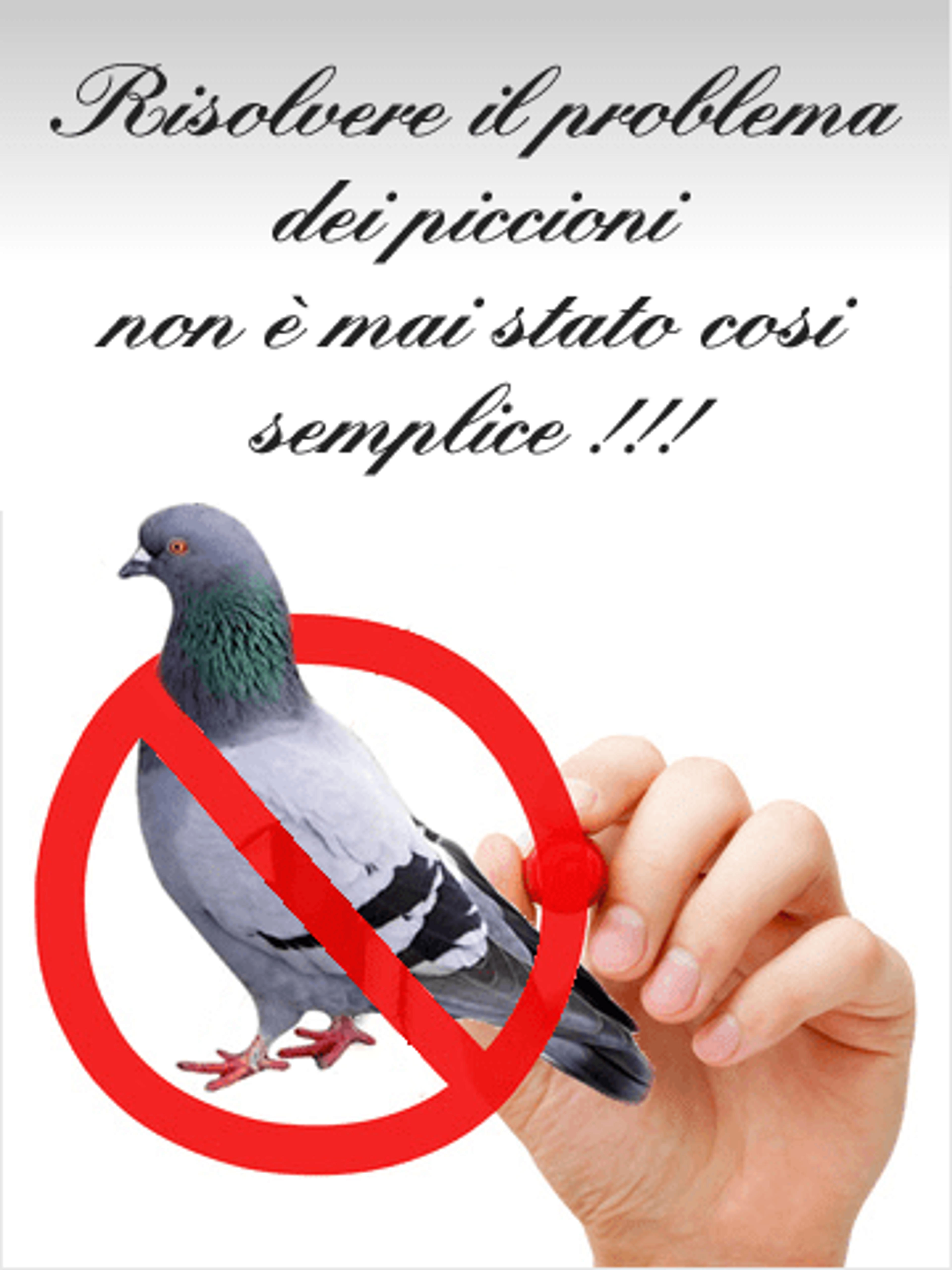 10b1b174-41e8-432e-be86-d0313bb14841.png