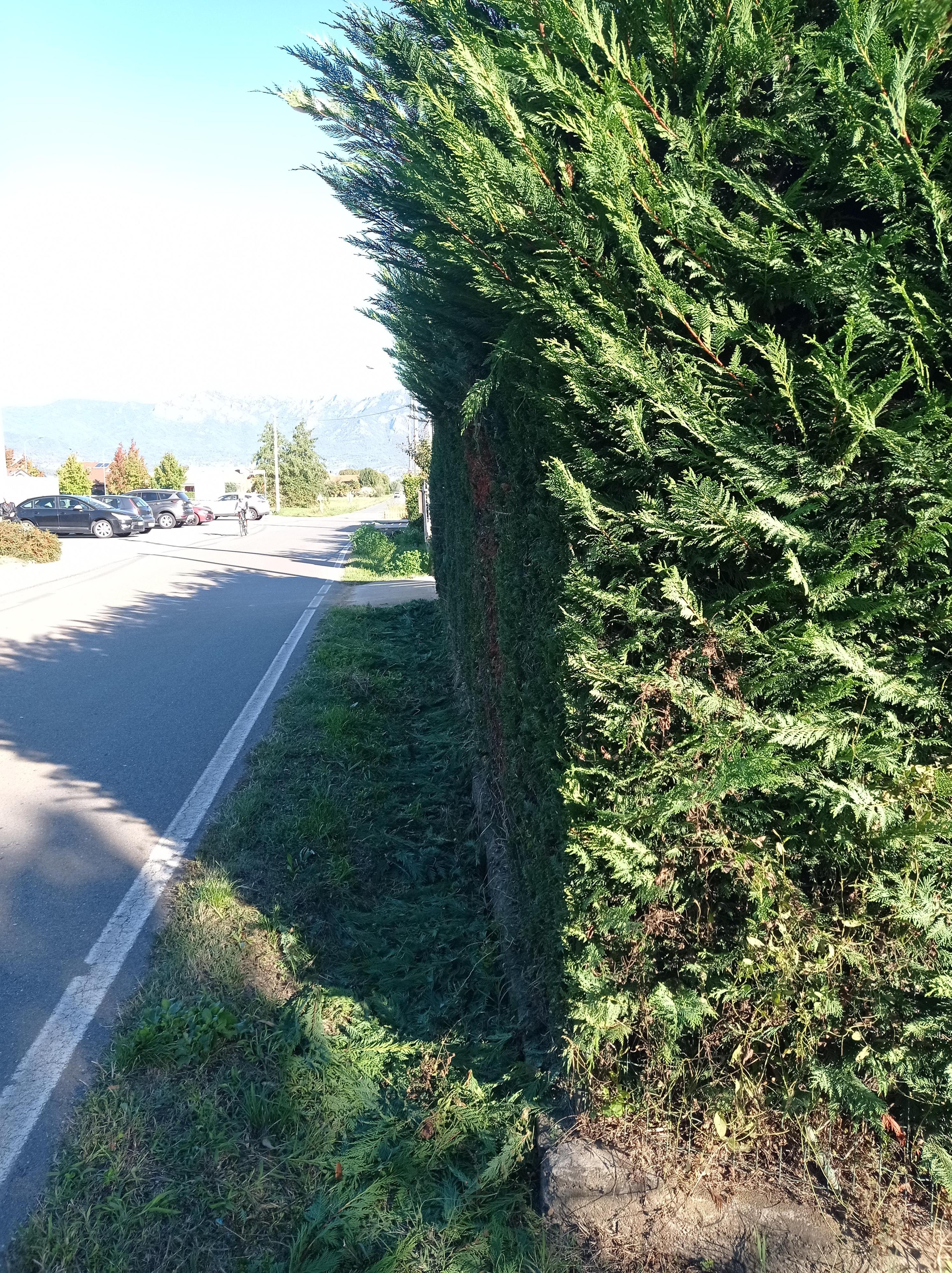 10f12663-58a7-4d4b-9754-66d4e1424740.jpeg