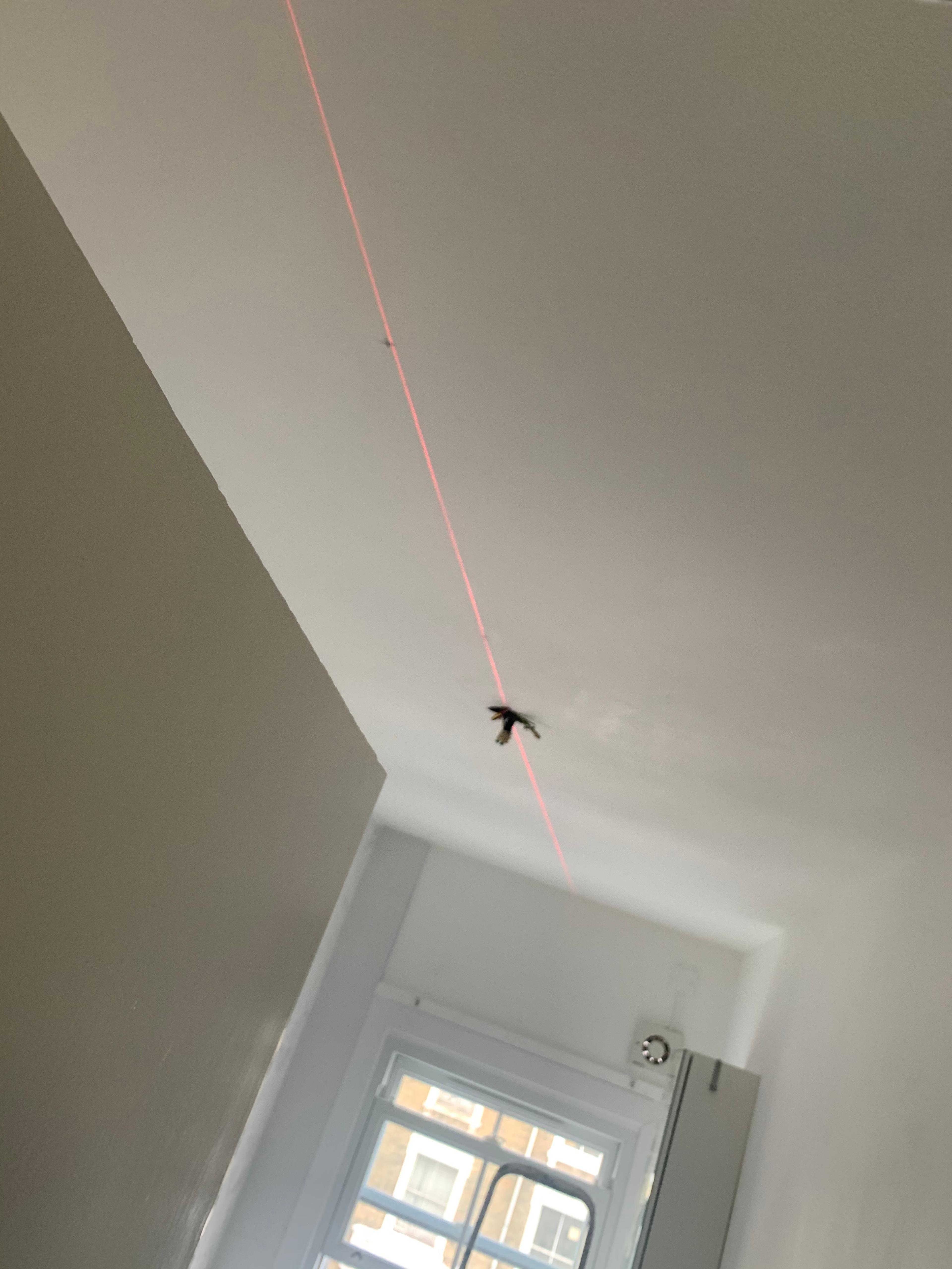 11047503-8cd6-4bcf-b88d-4359d0a97d4b.jpeg