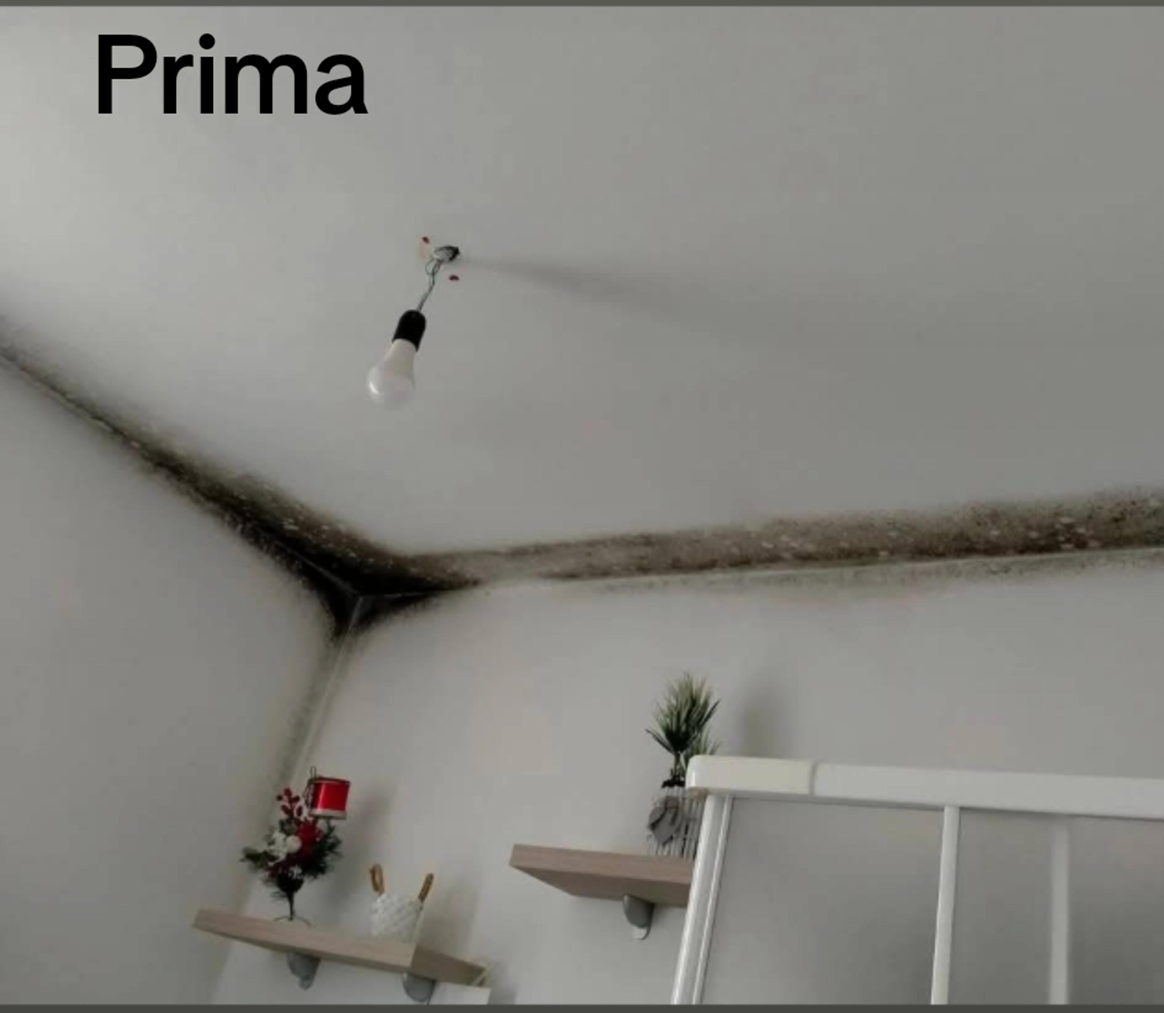 11f034d5-8252-4f83-8668-3870fe105fa3.jpeg