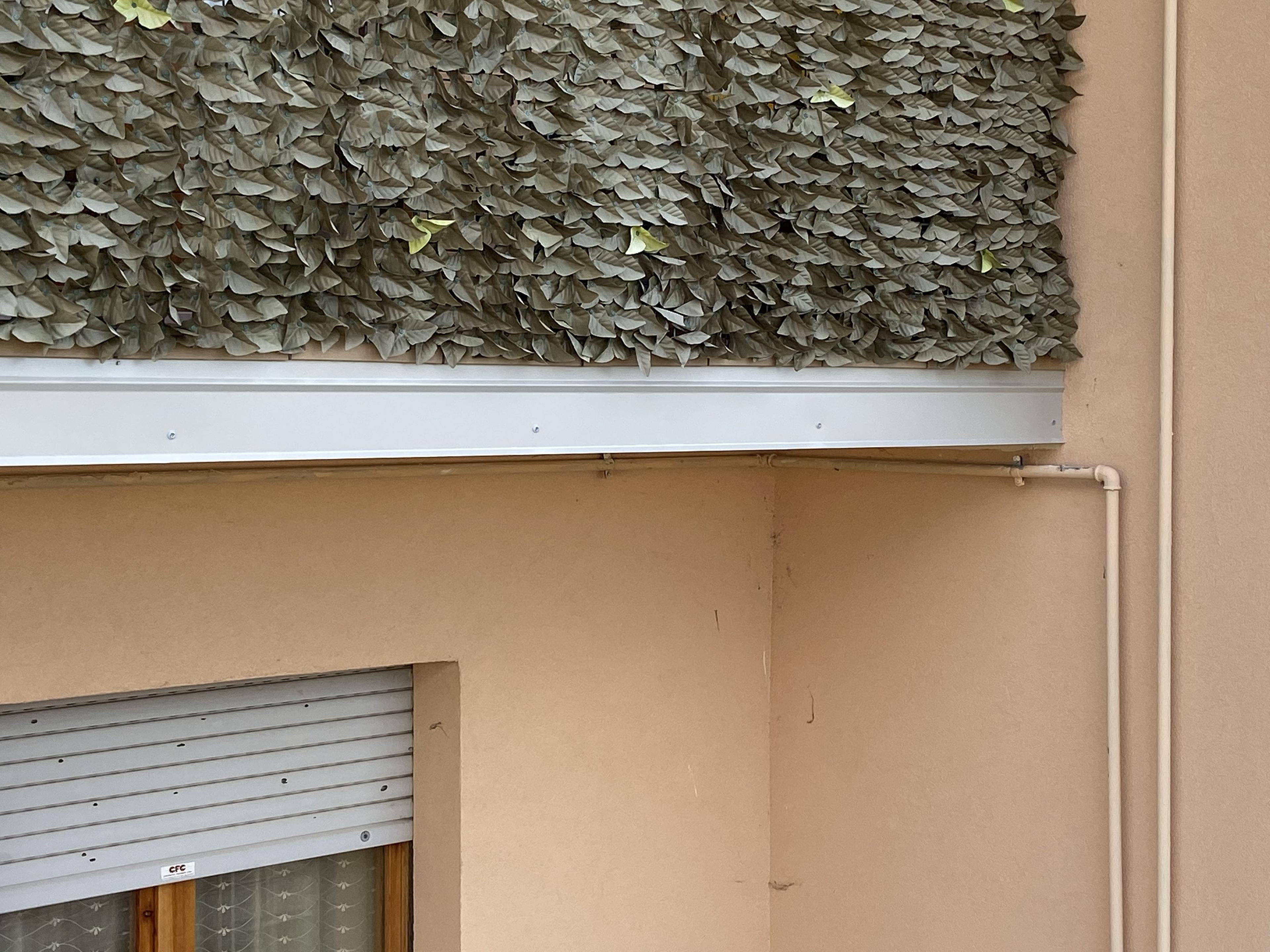 129058aa-2d38-4c9a-aac0-a1efae729134.jpeg