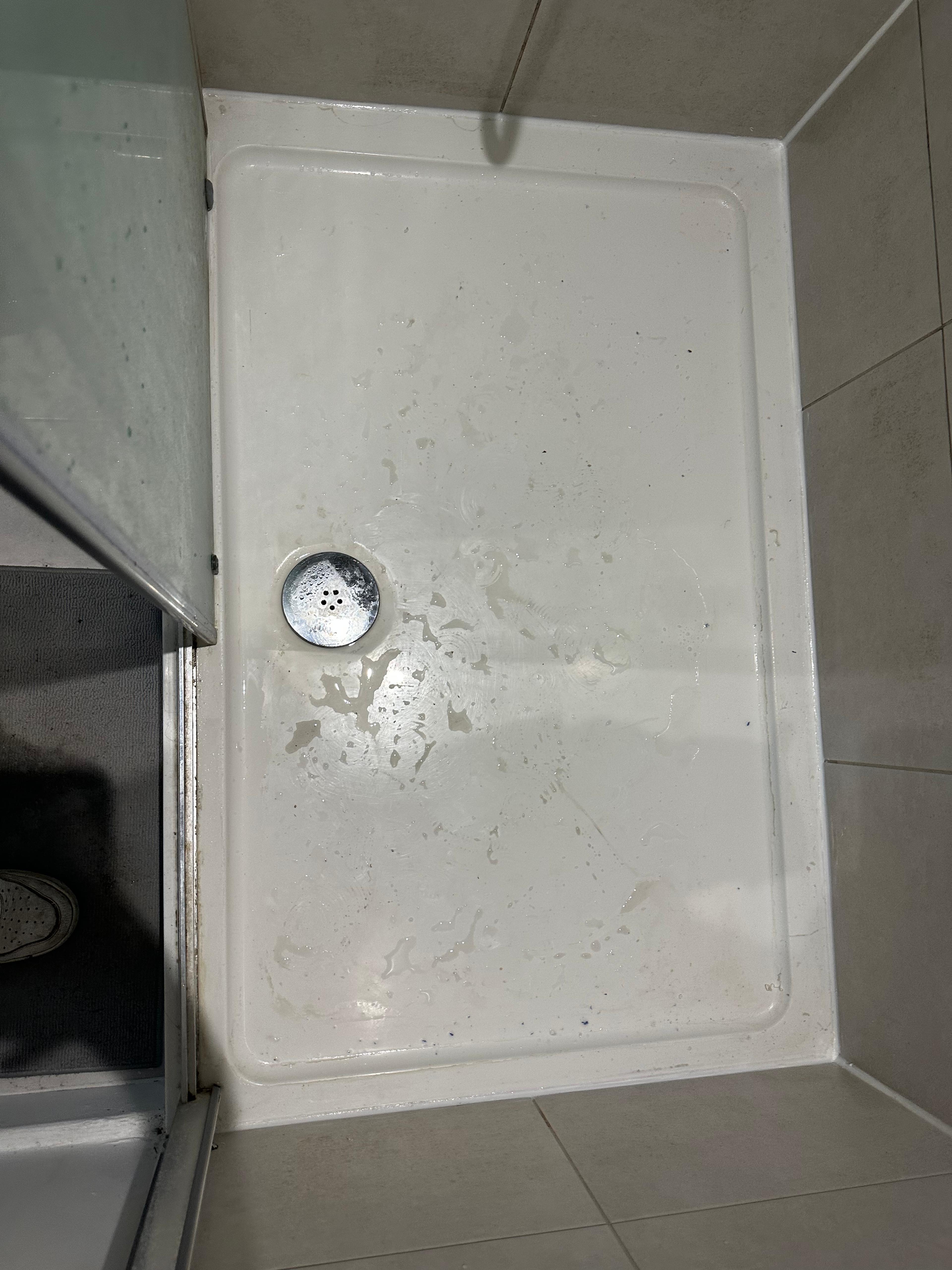 12e5f14c-a63c-4c6d-90b6-b6ee76c97f67.jpeg