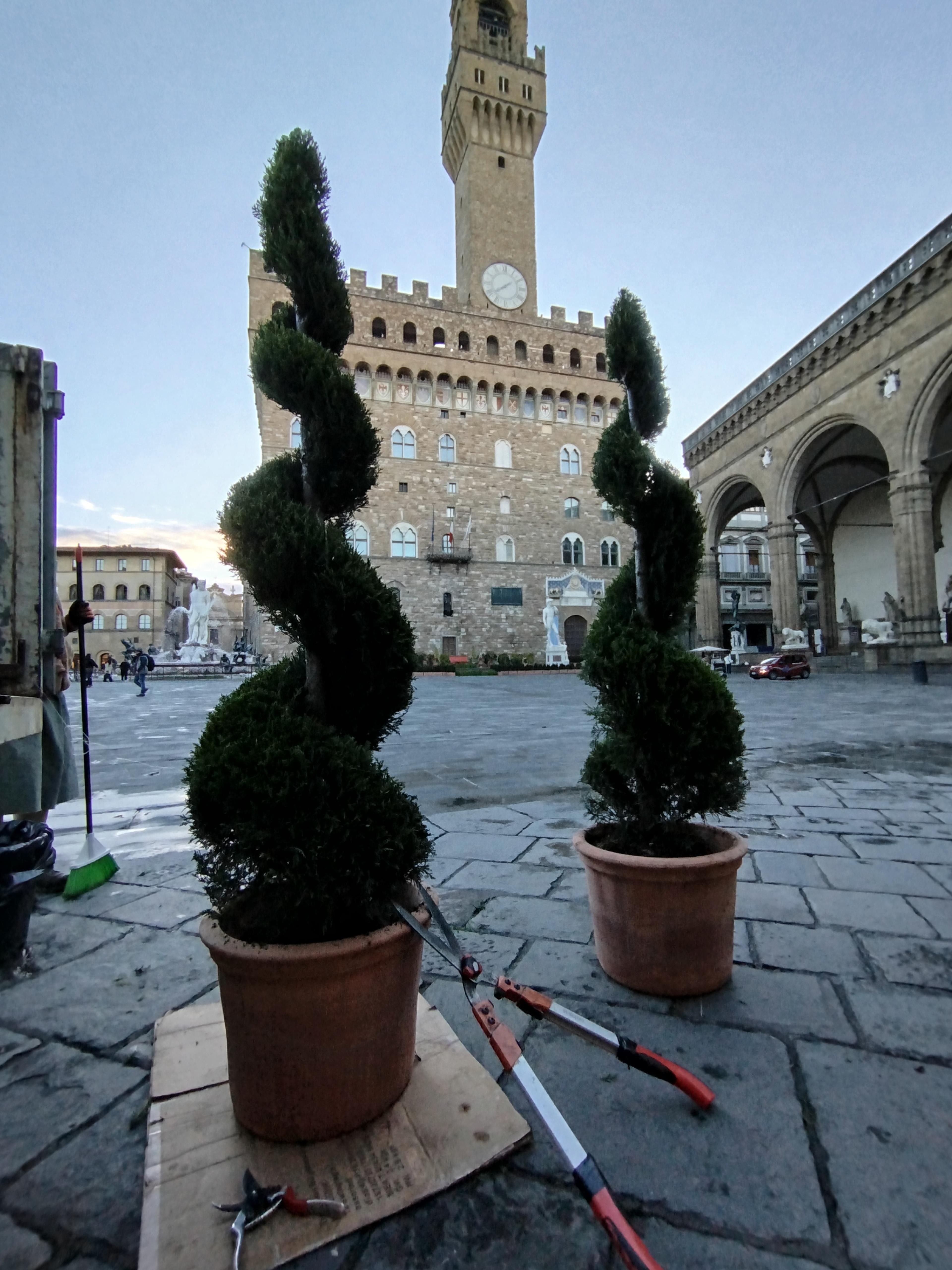 1306d5fe-39ff-4541-991f-74810c0ea791.jpeg