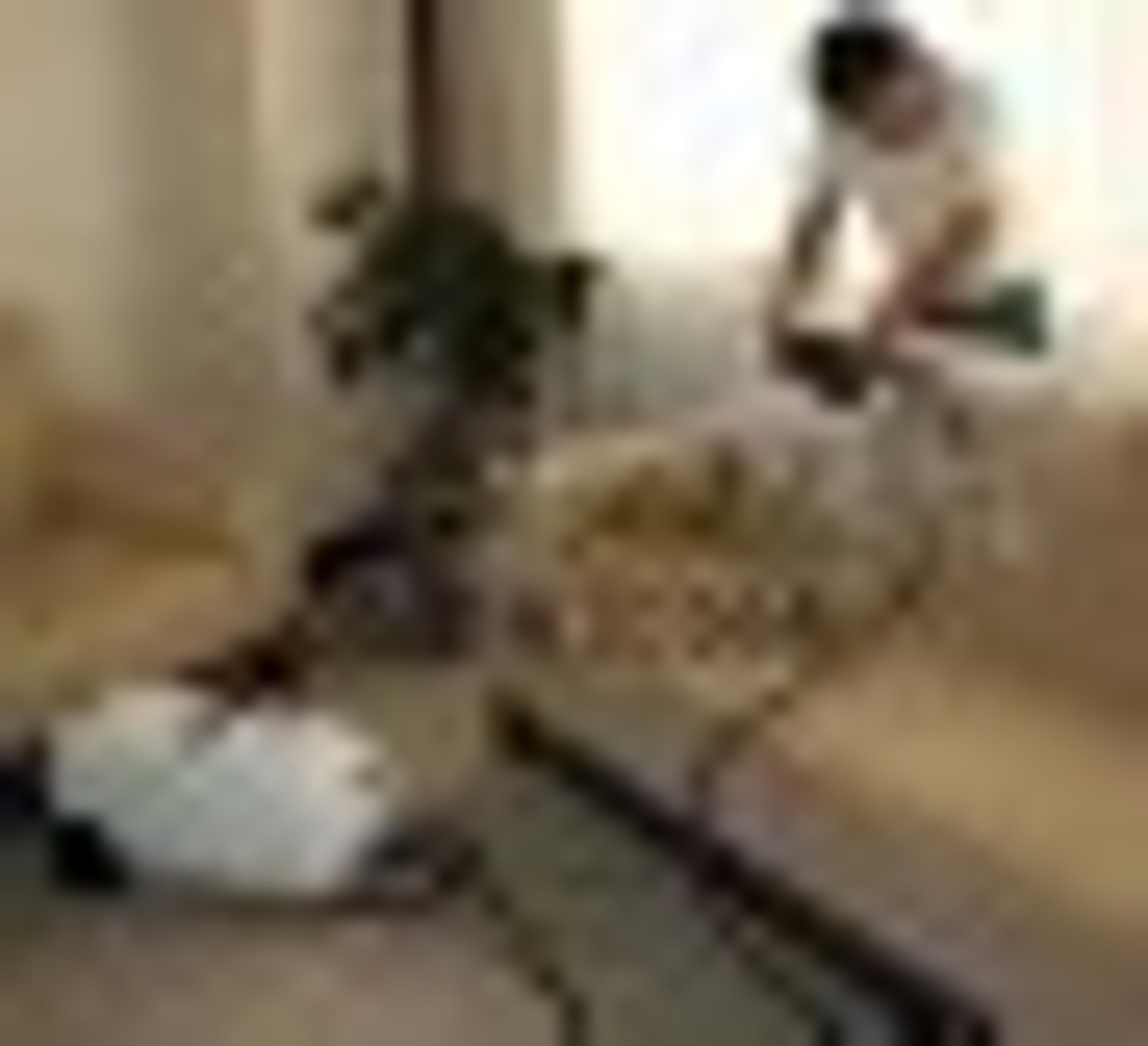 13cacde4-f57a-48b8-bb0f-8f73f8019738.jpeg