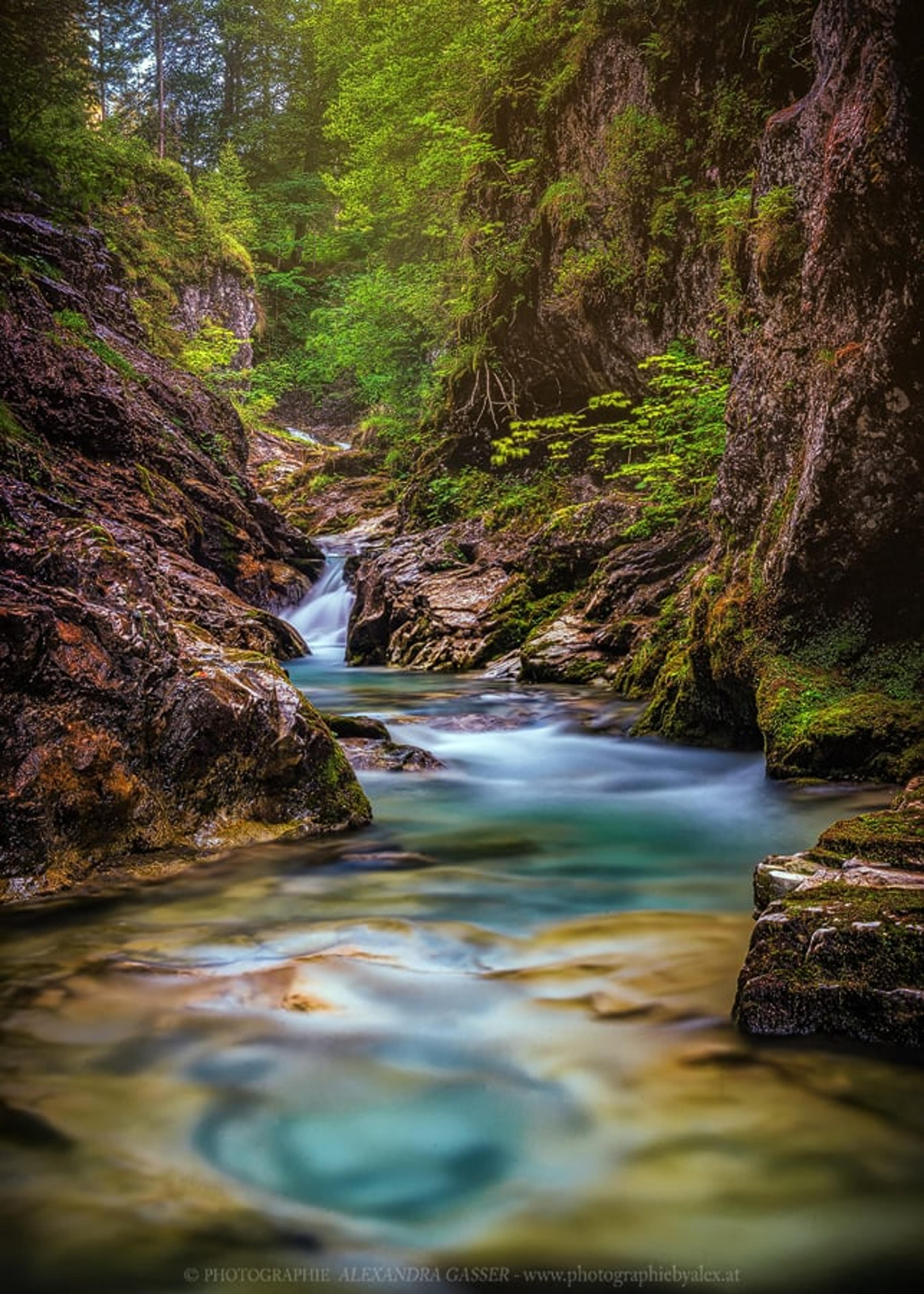 14b68f96-874e-4340-8b5d-2b4f58c0f550.jpeg
