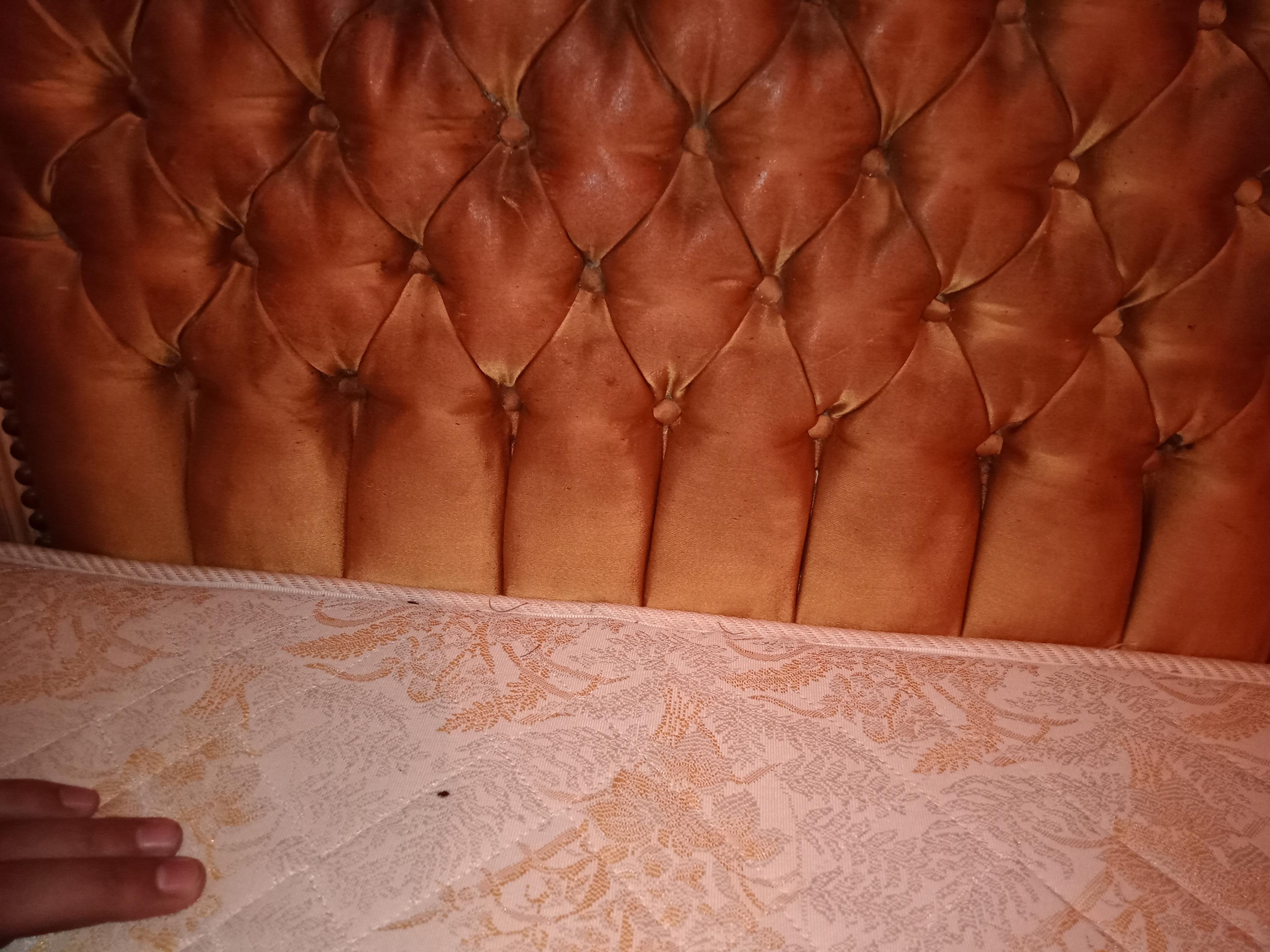 14c188c0-46b1-4358-830d-78955c782682.jpeg