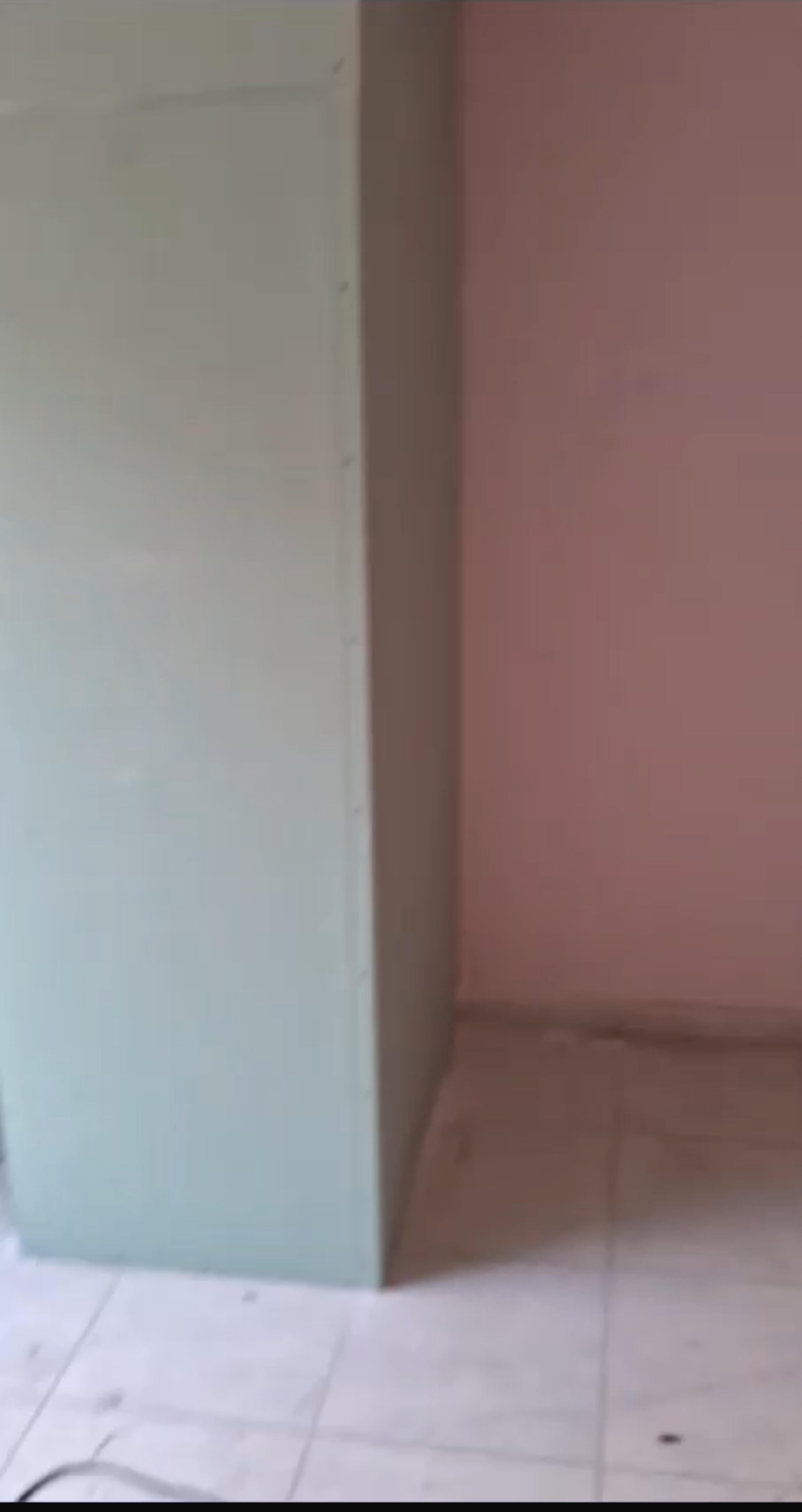 14e46671-4621-4af0-a1a3-f52741562e59.jpeg