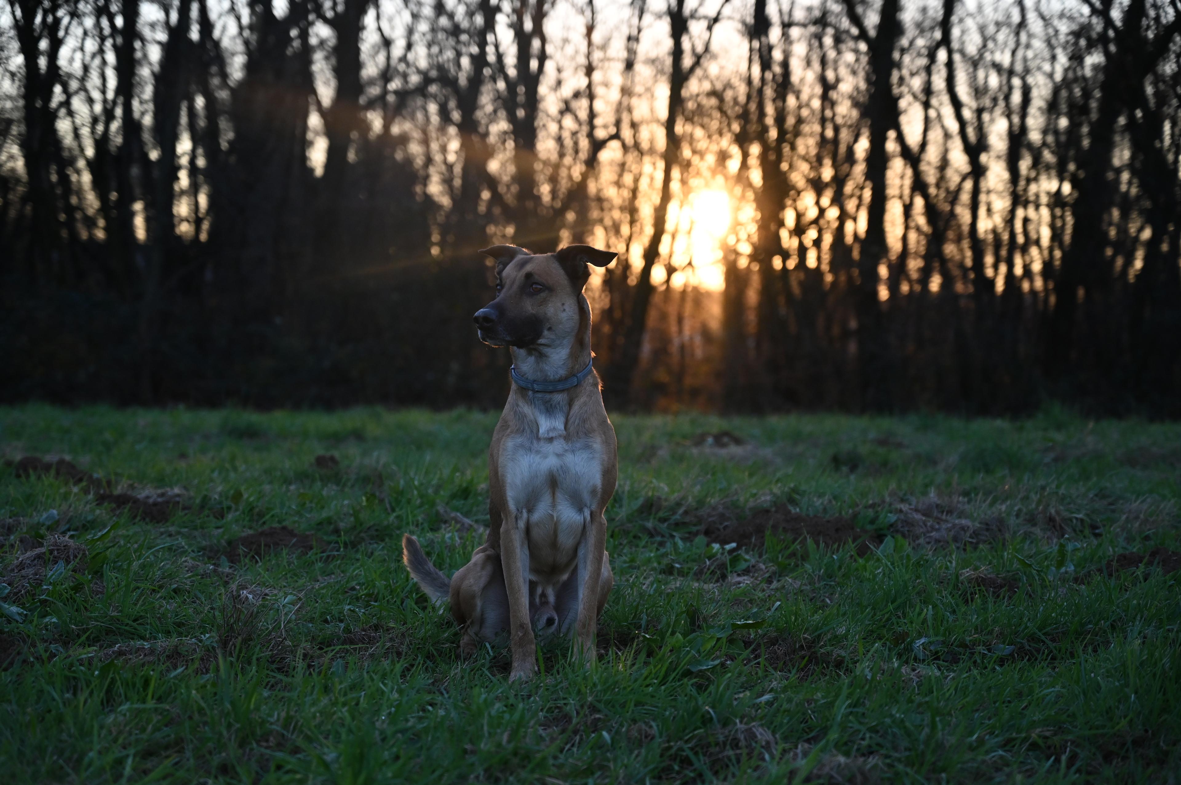 14e5c746-5c88-417c-ba8b-bbd0432c6584.jpeg