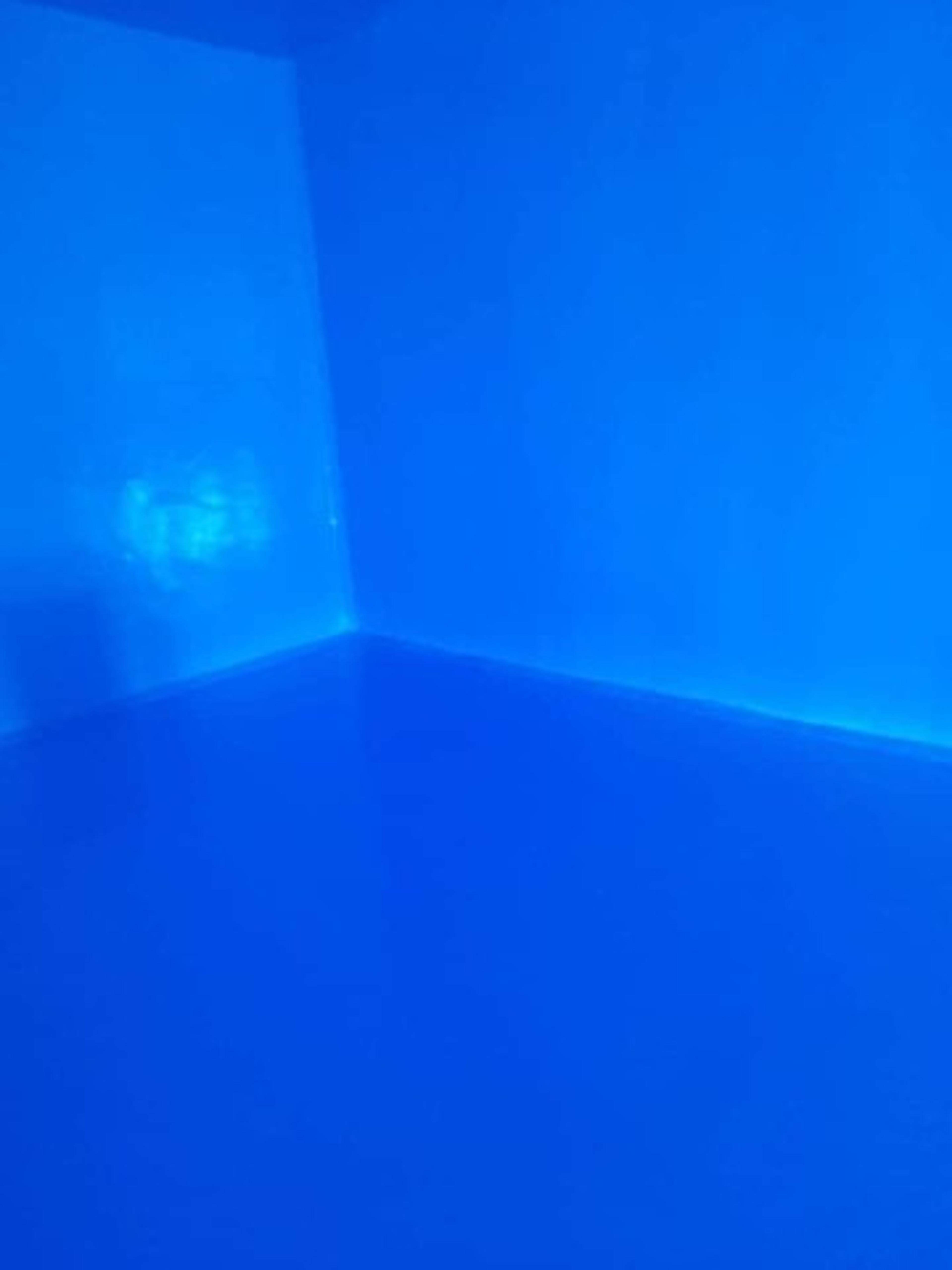 156c19b9-1ba9-4d37-9e06-2685ec0d3e3b.jpeg