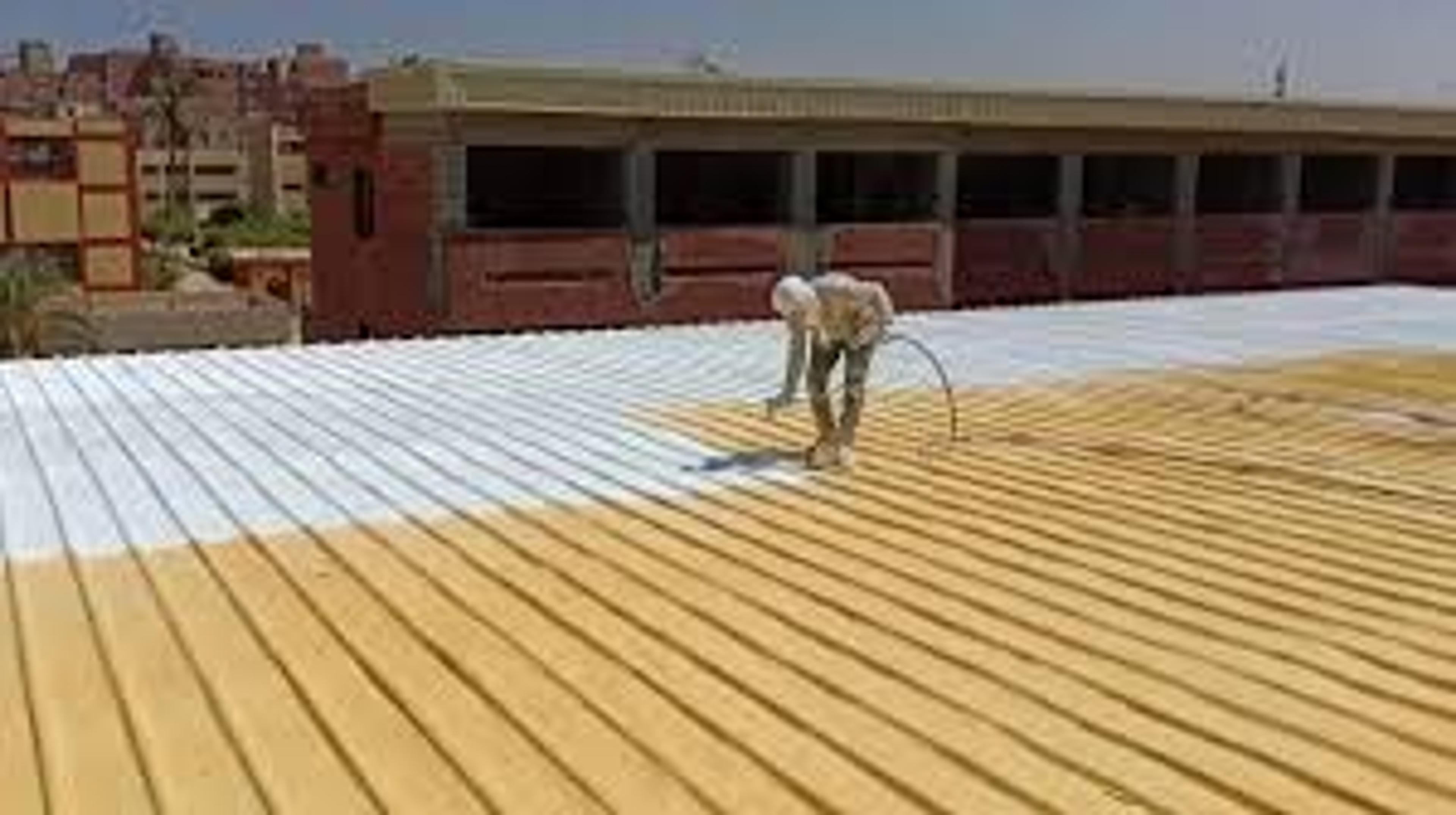 15bbbf79-3801-44ba-a488-036f49bee0a5.jpeg