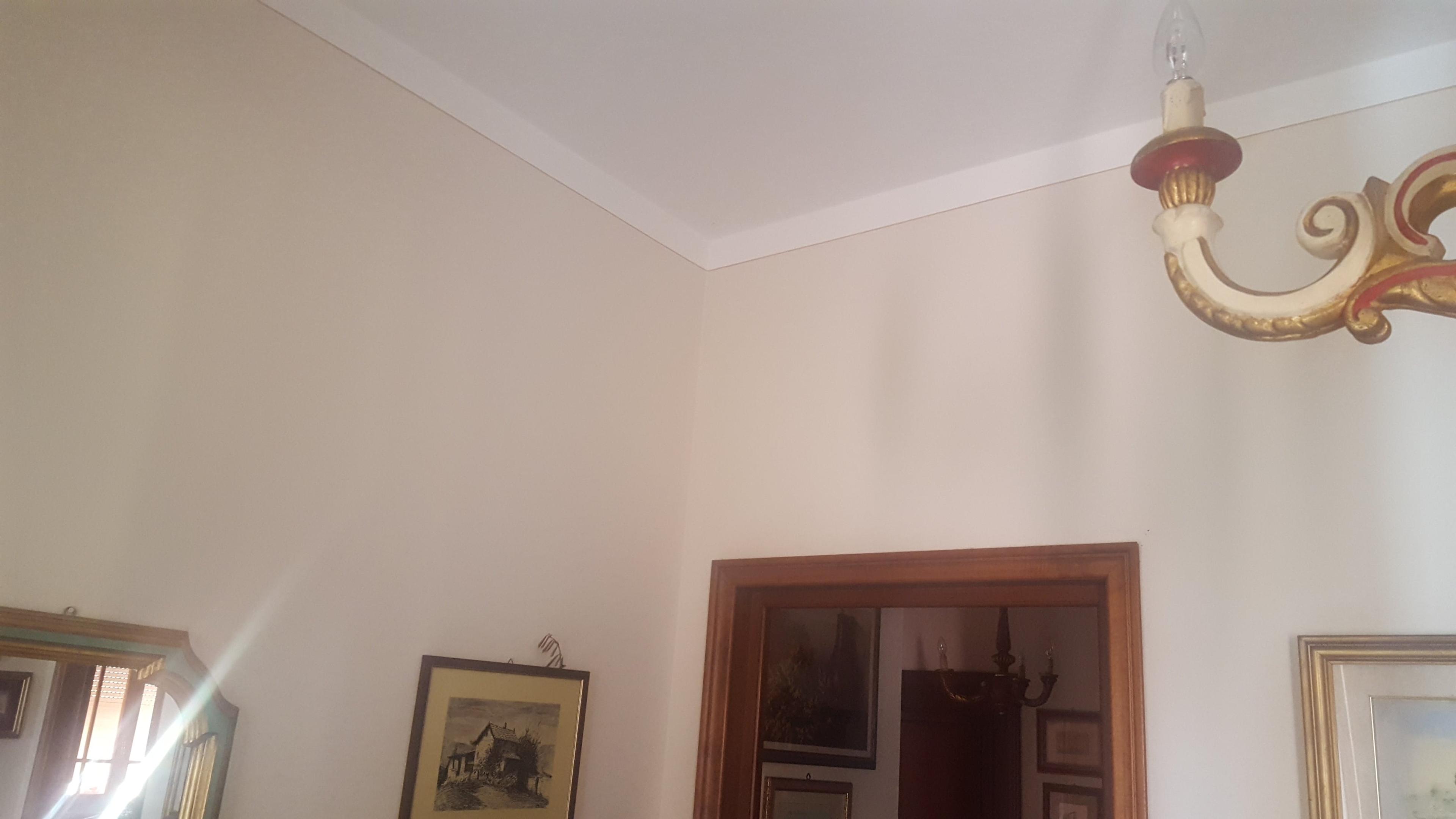 15f365bb-ac1c-4784-a6b4-220443839e05.jpeg