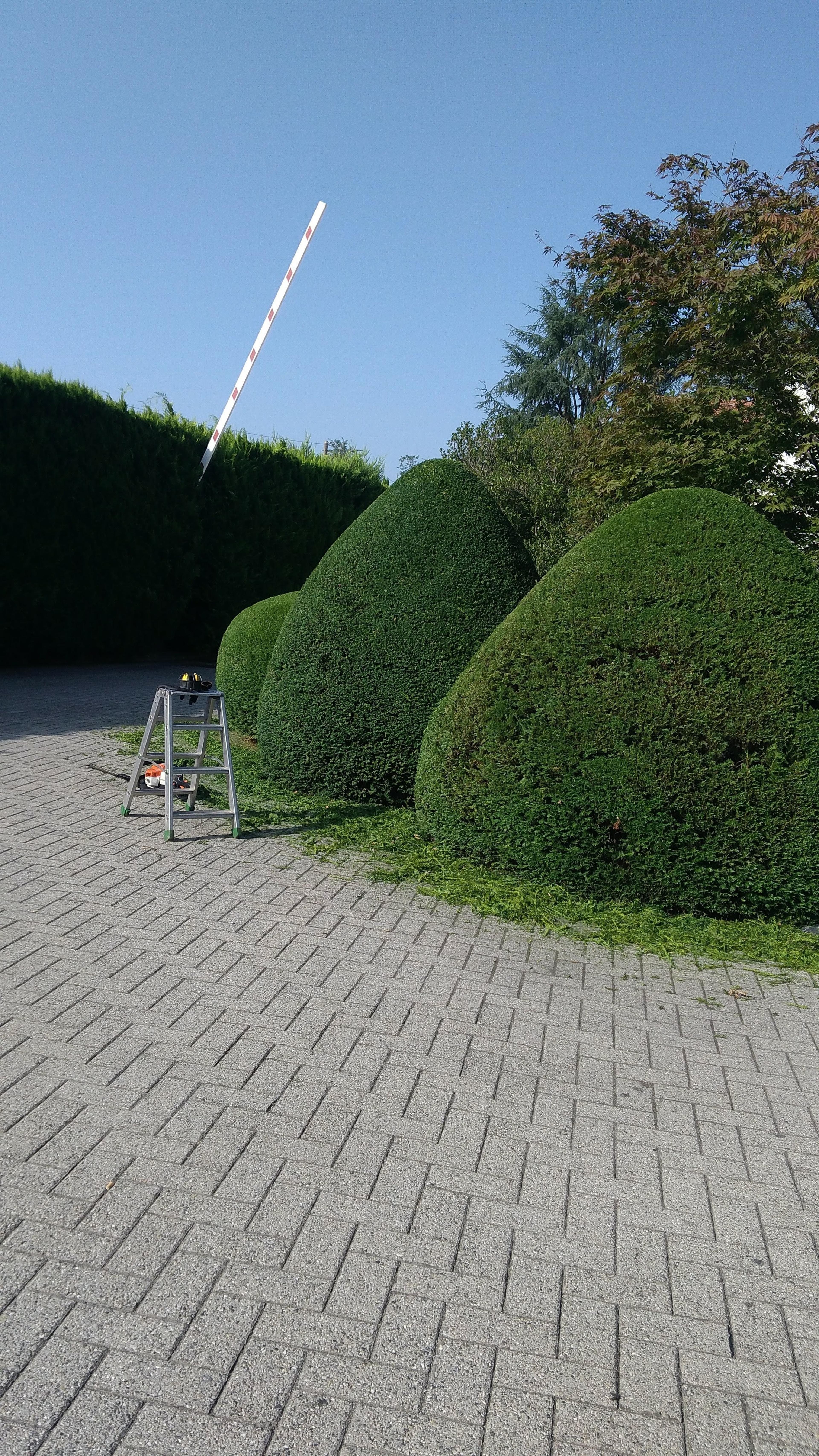 1609ab85-2d2d-49a7-aee3-d6f6a0030d98.jpeg