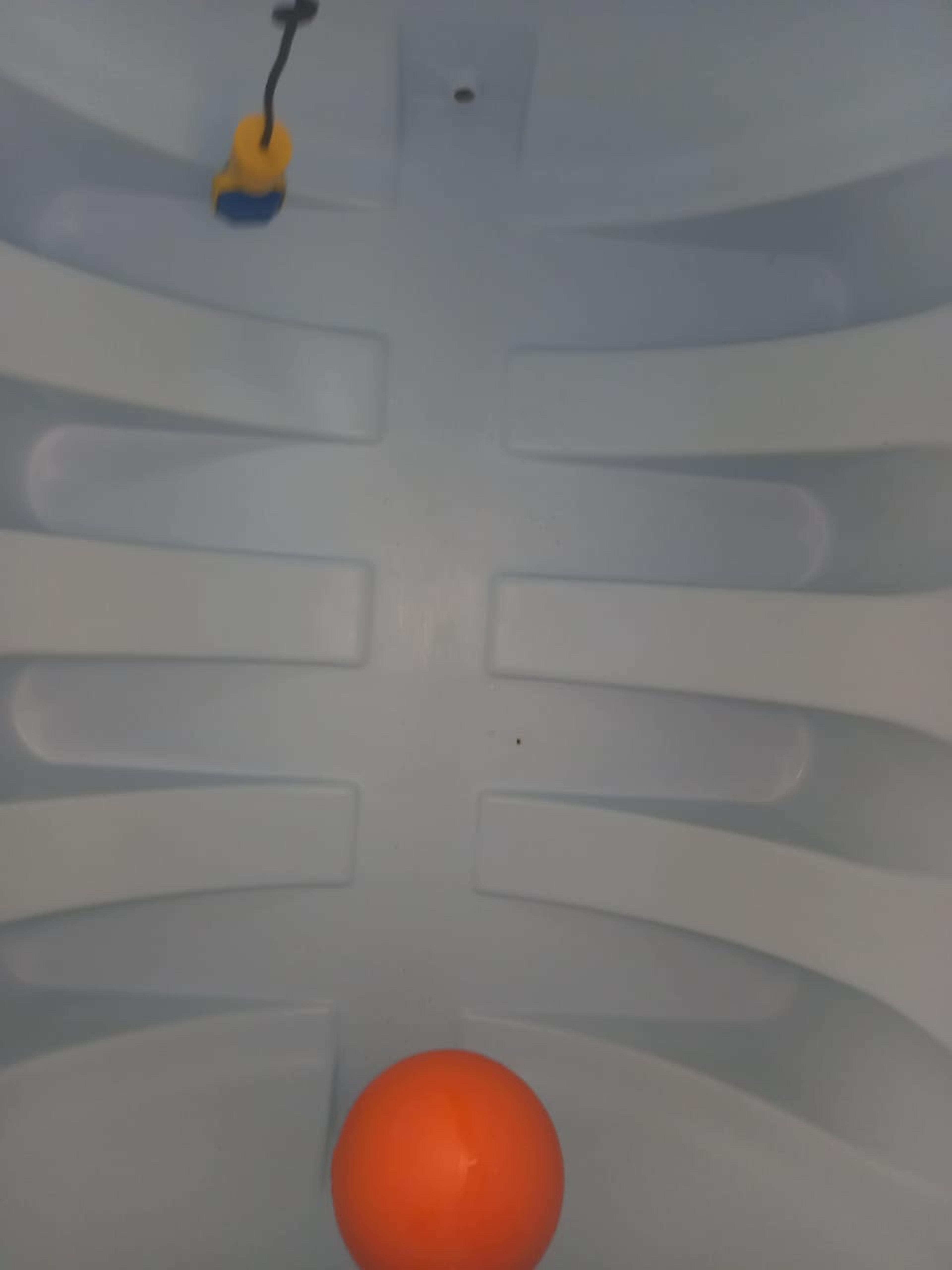 1642e404-194a-4746-aee2-bccdd0ffb3bd.jpeg