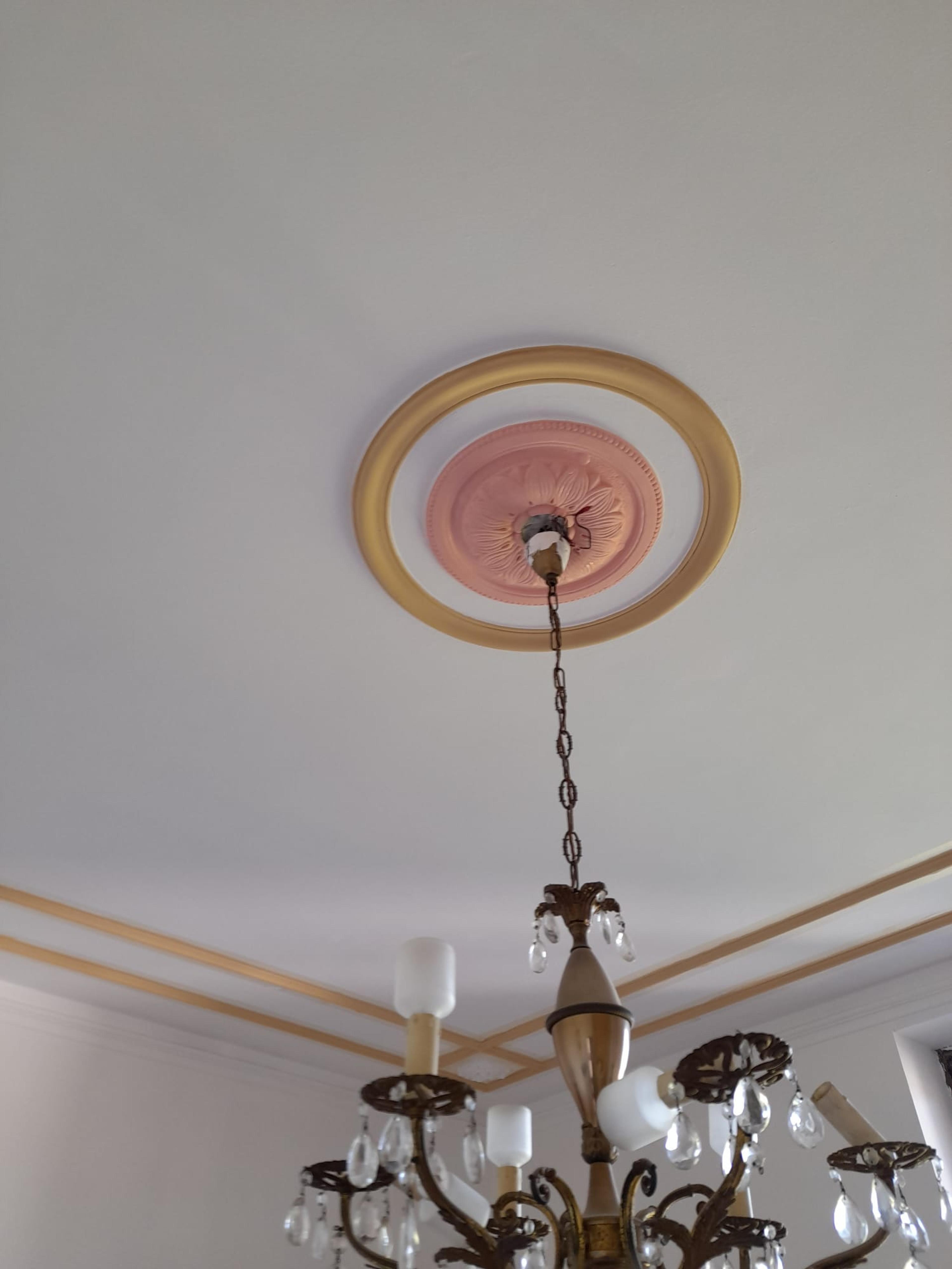 172b4fd9-5b1e-4bf9-8cba-31a943cd0c08.jpeg