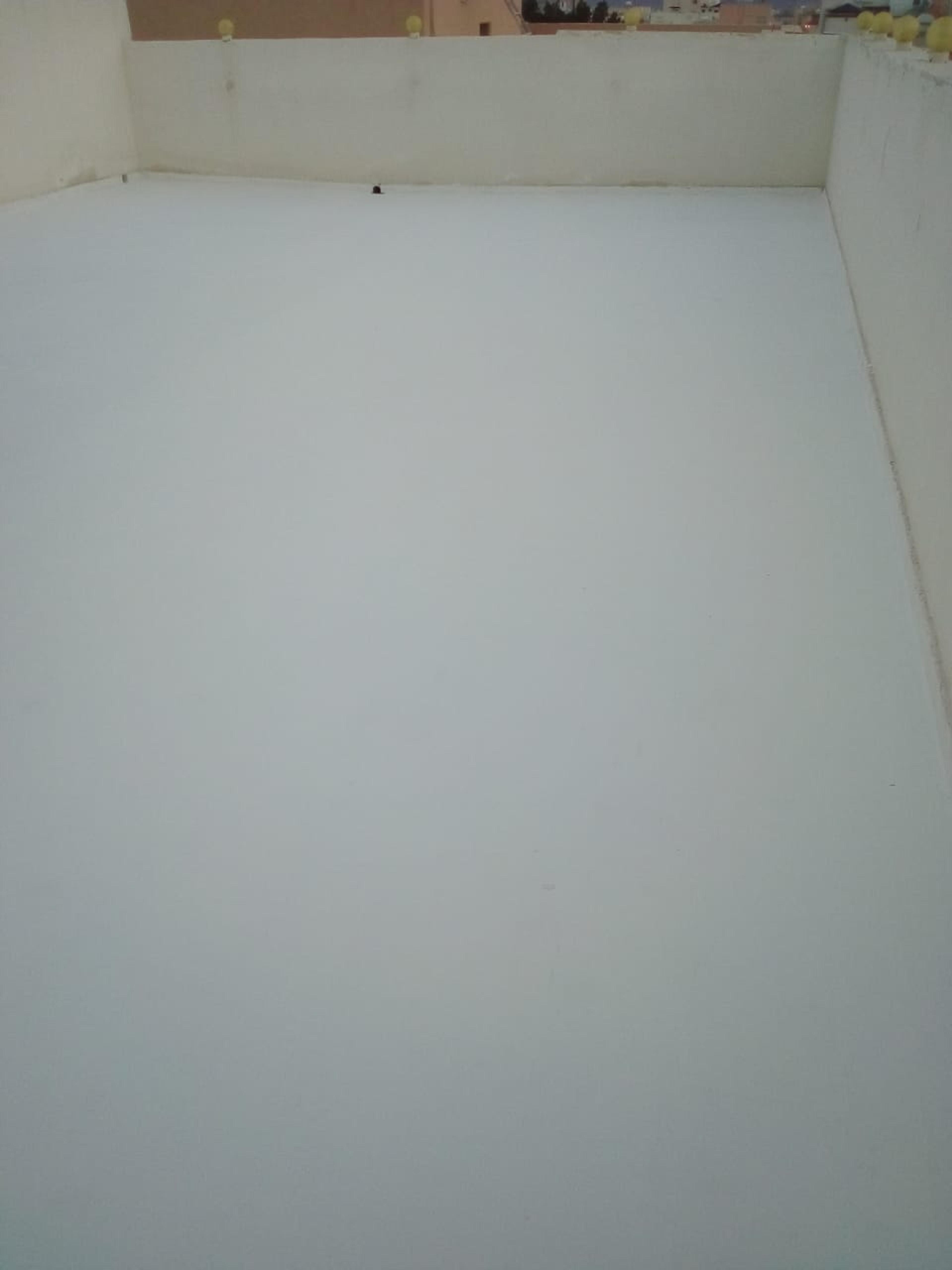 173442f9-47f0-4e33-b458-b22895555898.jpeg