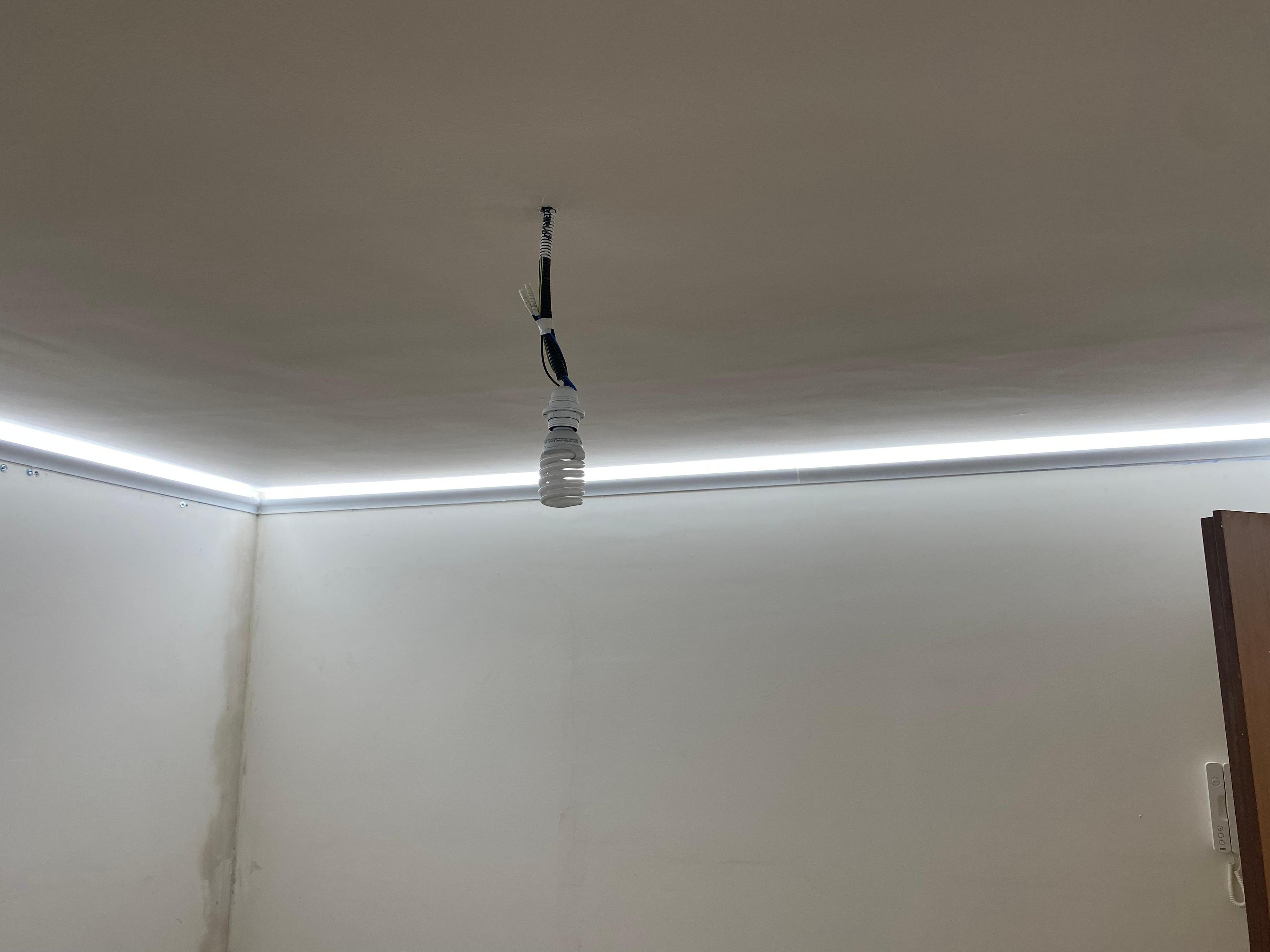 17613030-a97b-42a6-9b2e-21a55b99bb5a.jpeg
