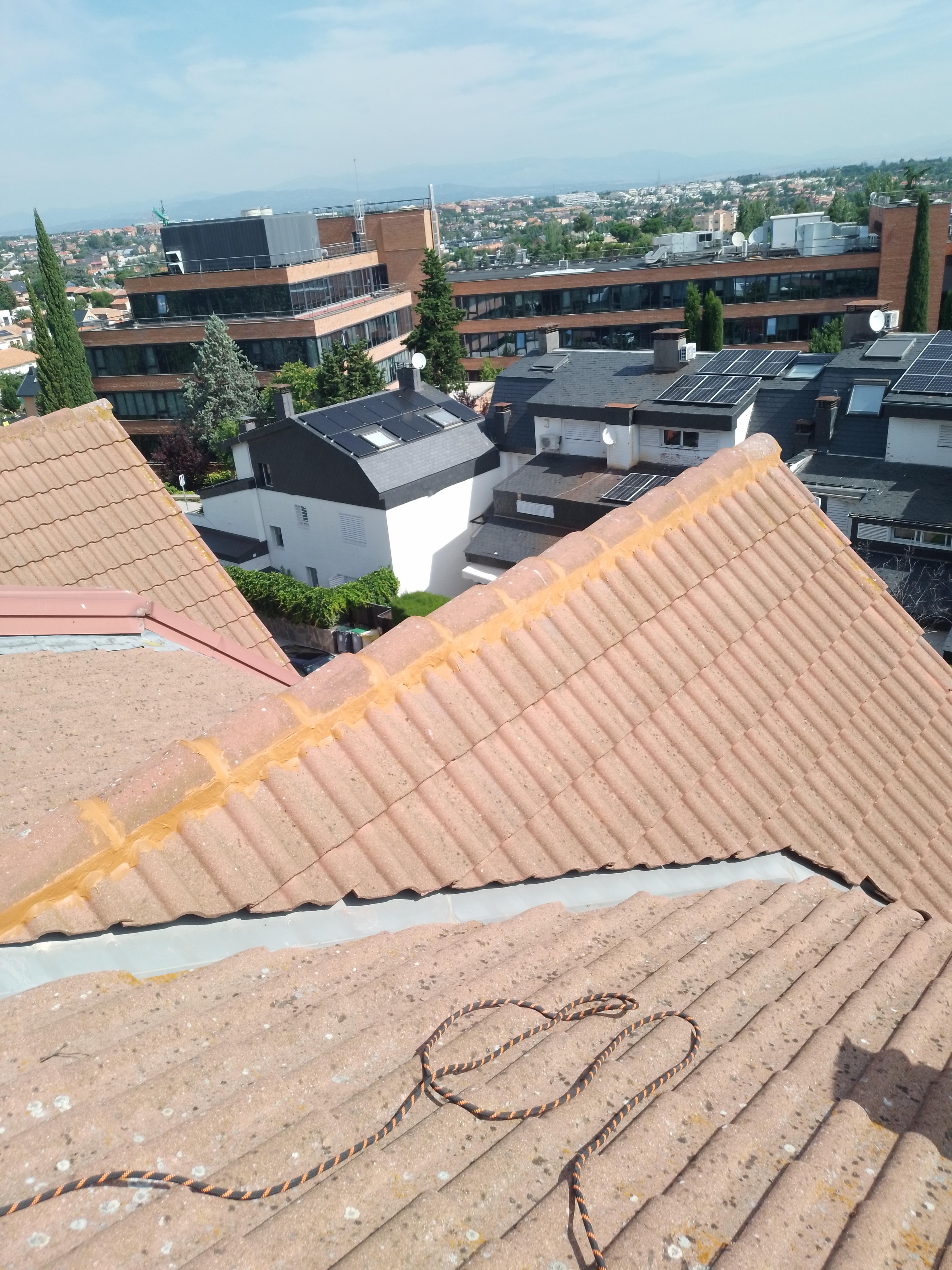 17d4fe94-d422-4bda-bd07-a03f541ab103.jpeg