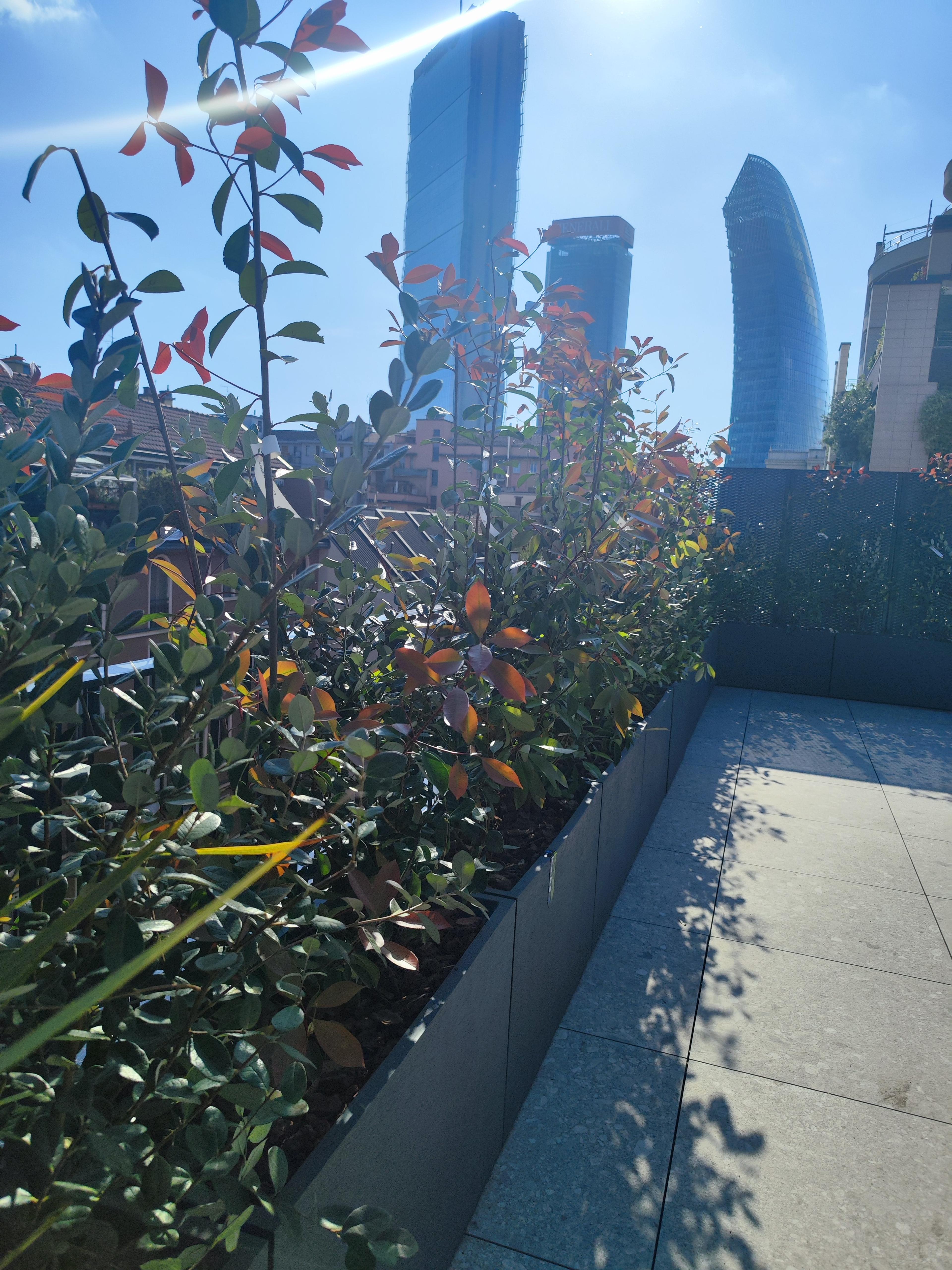 17ecbdf1-f031-4601-86c4-a007081e6087.jpeg