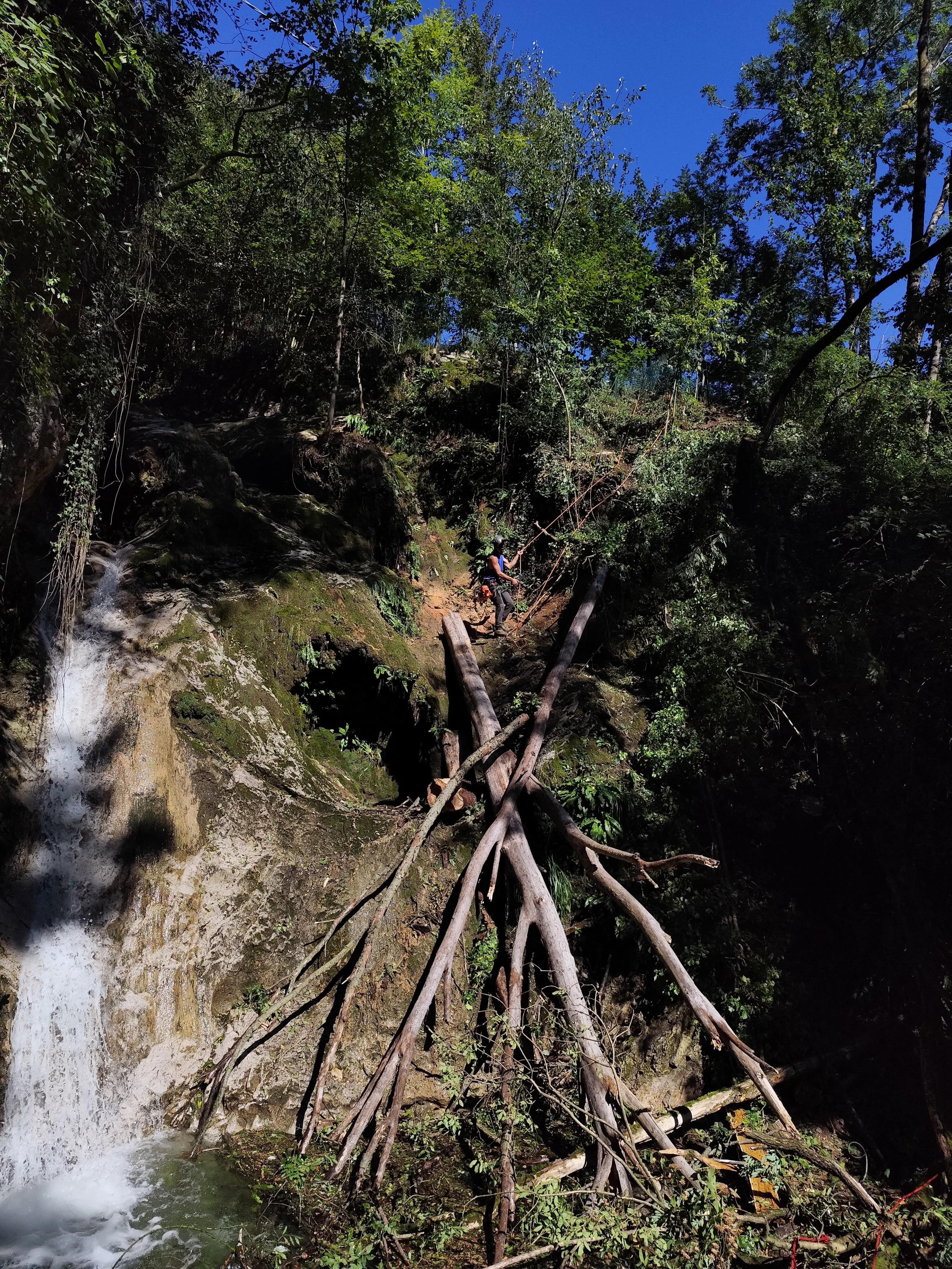 17f7930d-1524-4808-b016-f918de20d733.jpeg