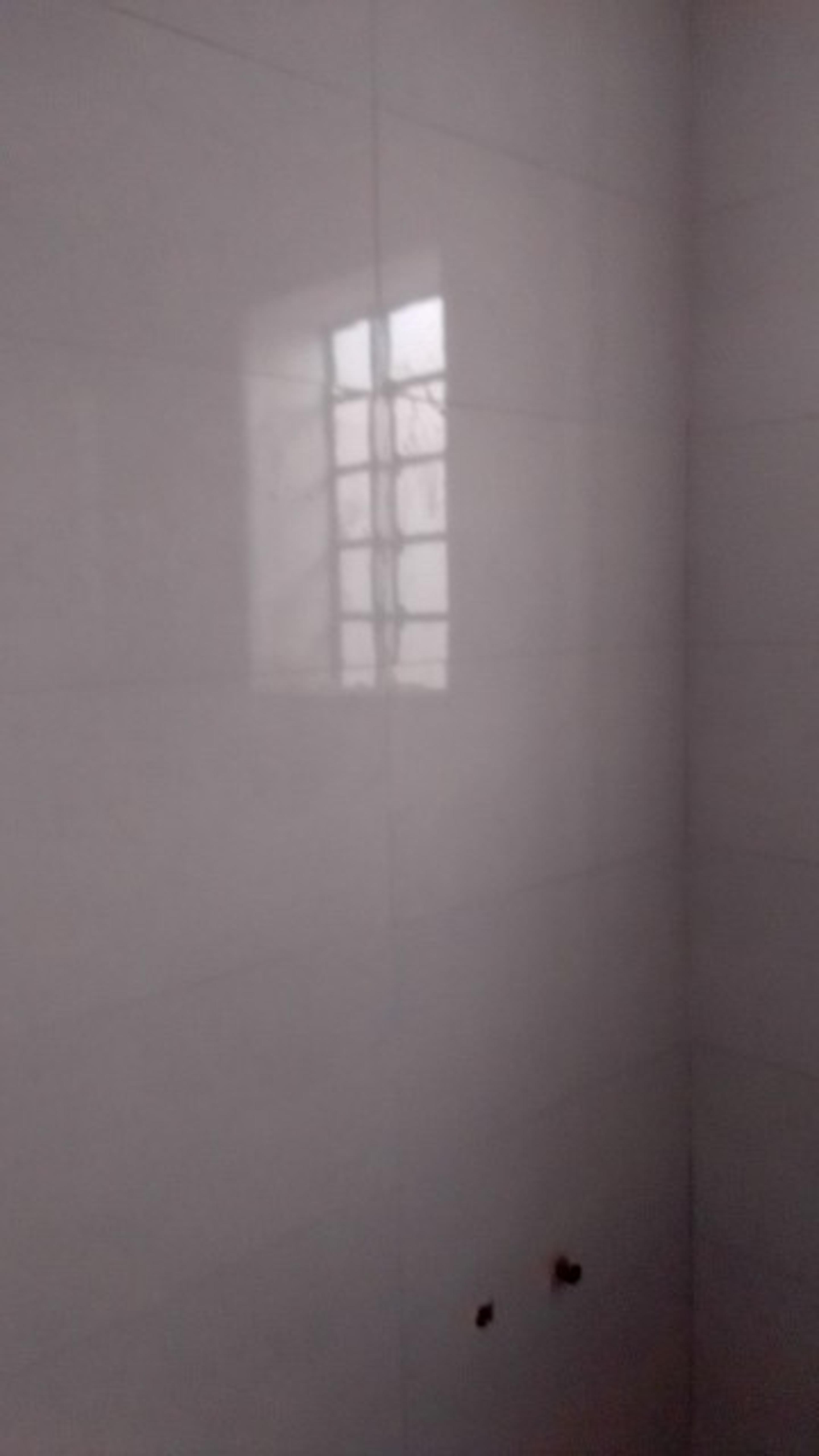 1817ed16-52d2-4685-bdc1-5c6917aa3eab.jpeg