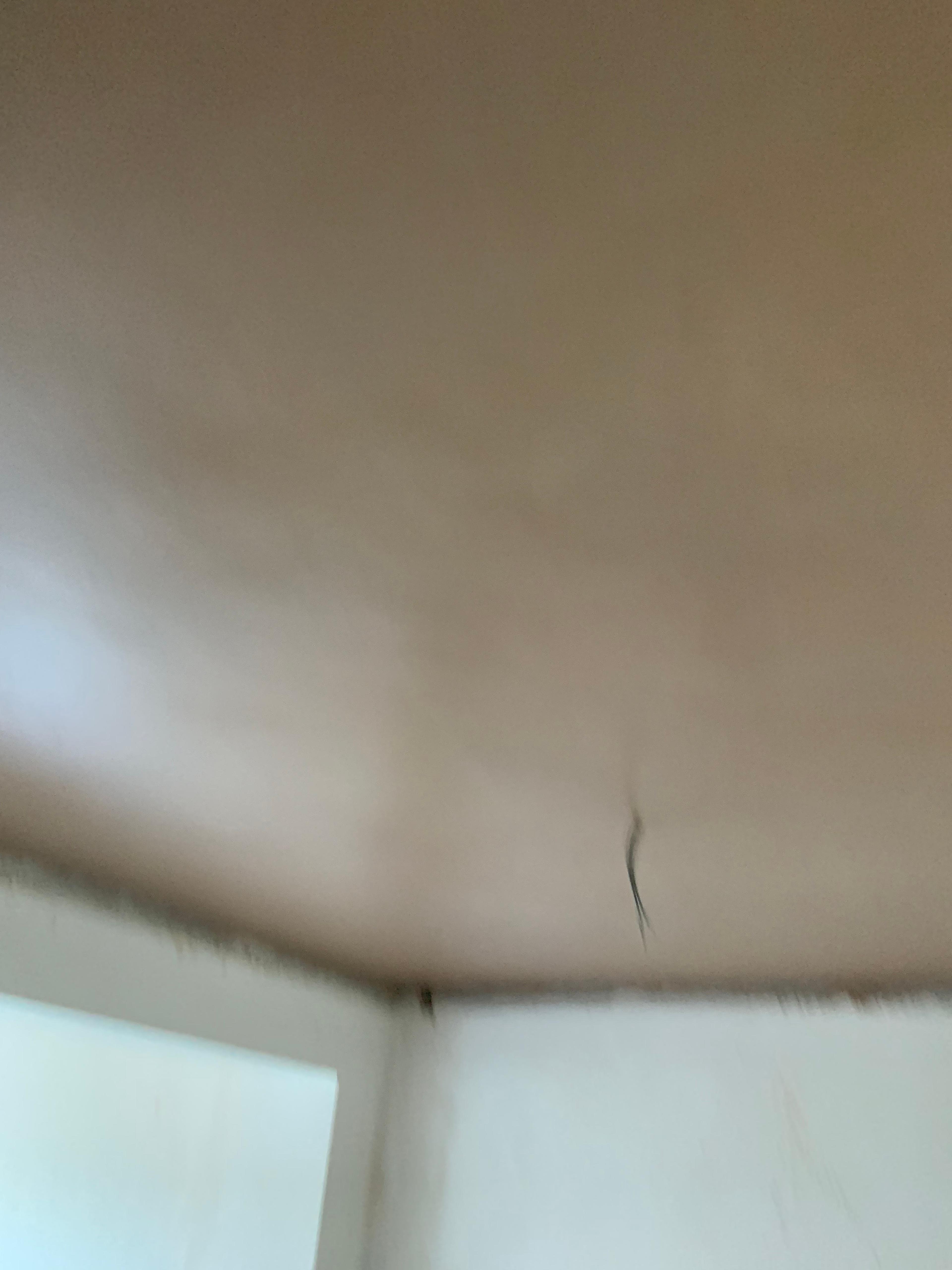 188021d4-fa52-4a74-ae3e-e0bb2223a47c.jpeg