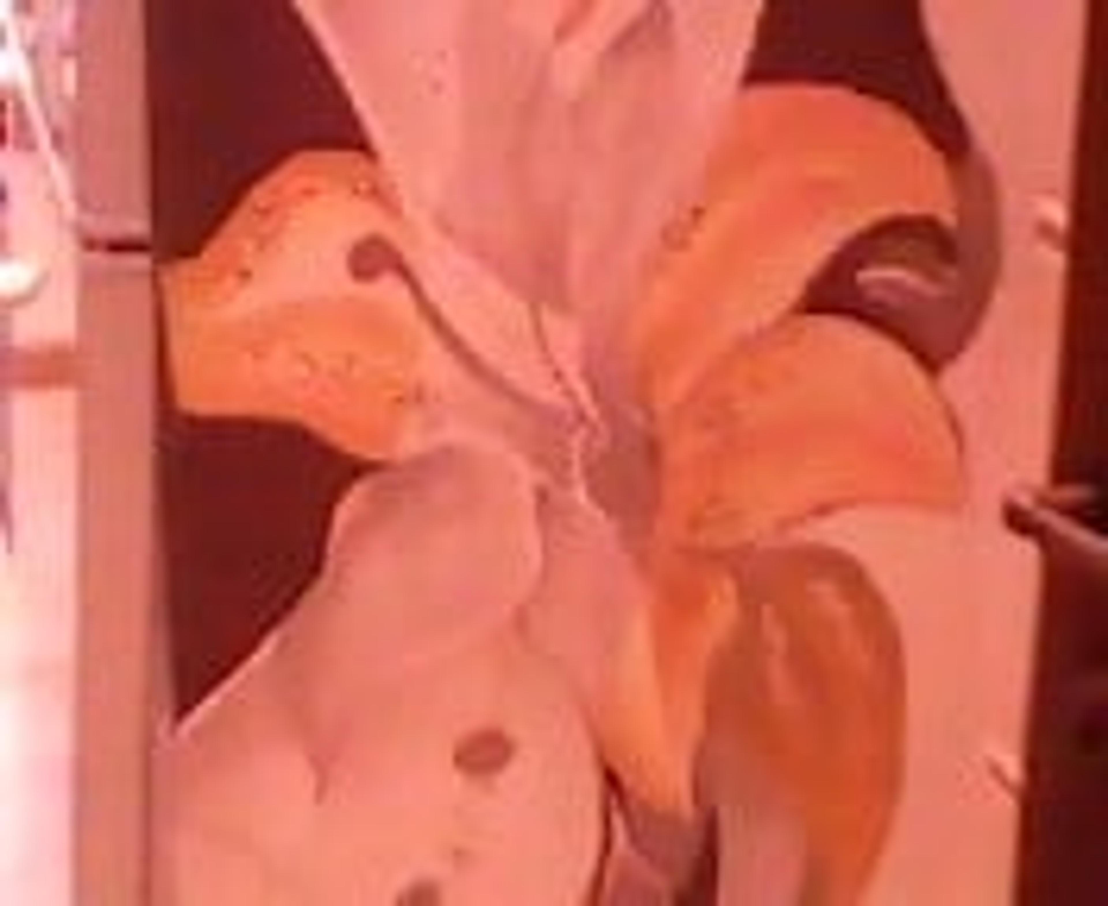 18a847a7-69b5-4edb-8273-7a96e55df731.jpeg