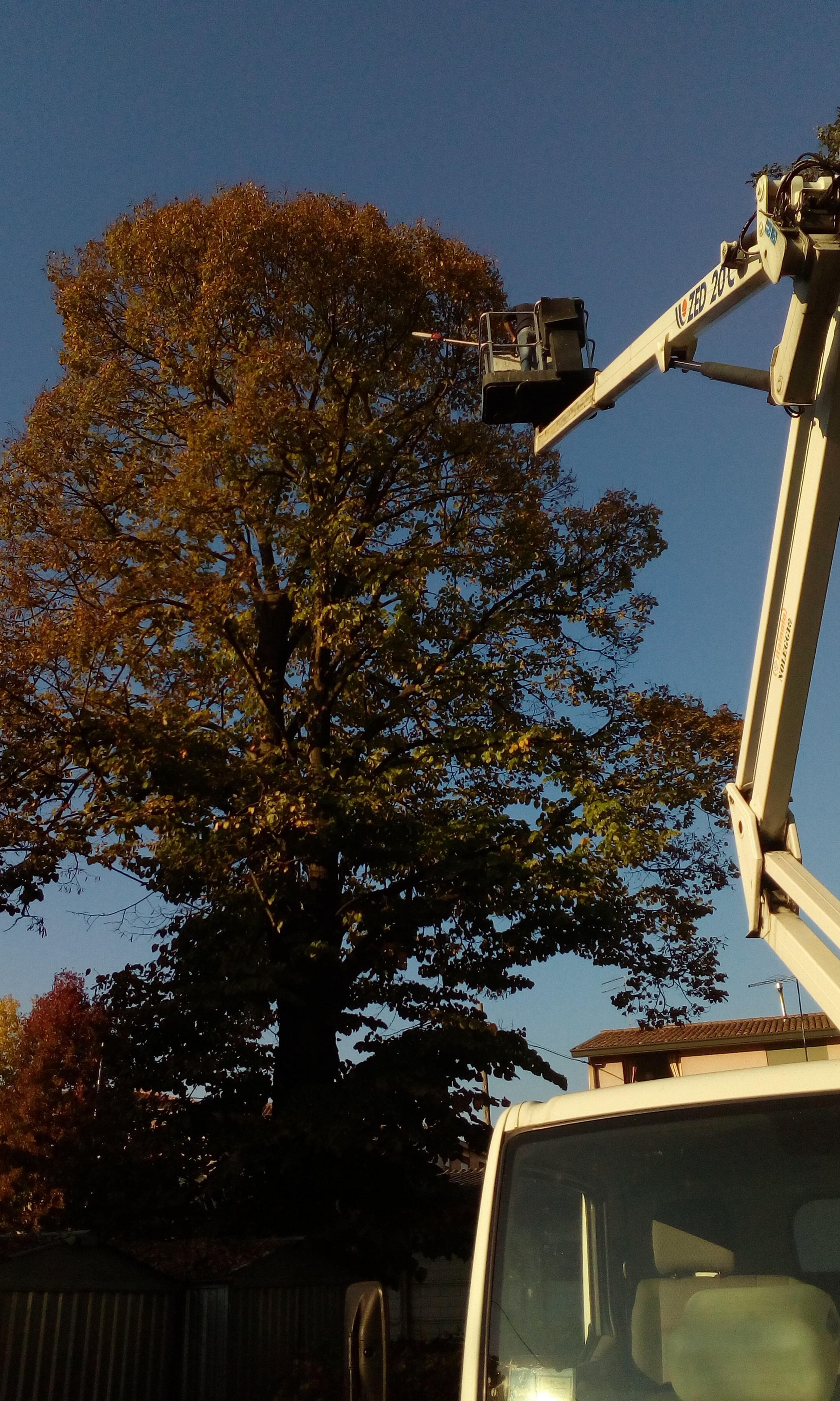 19316677-0ab4-4669-9413-d2a7426fd2c2.jpeg