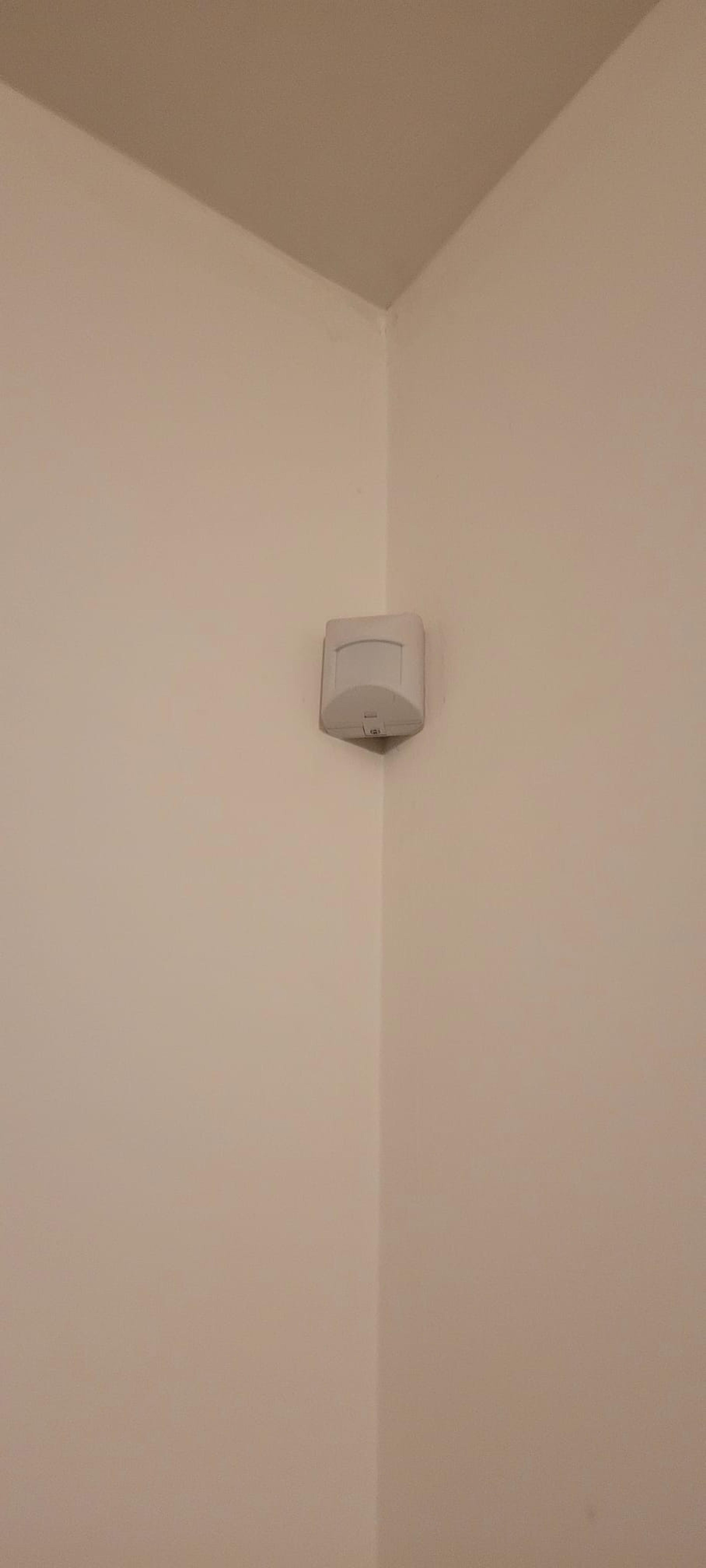 1989a8fa-a5ed-40d8-9b72-fe8294ba182b.jpeg