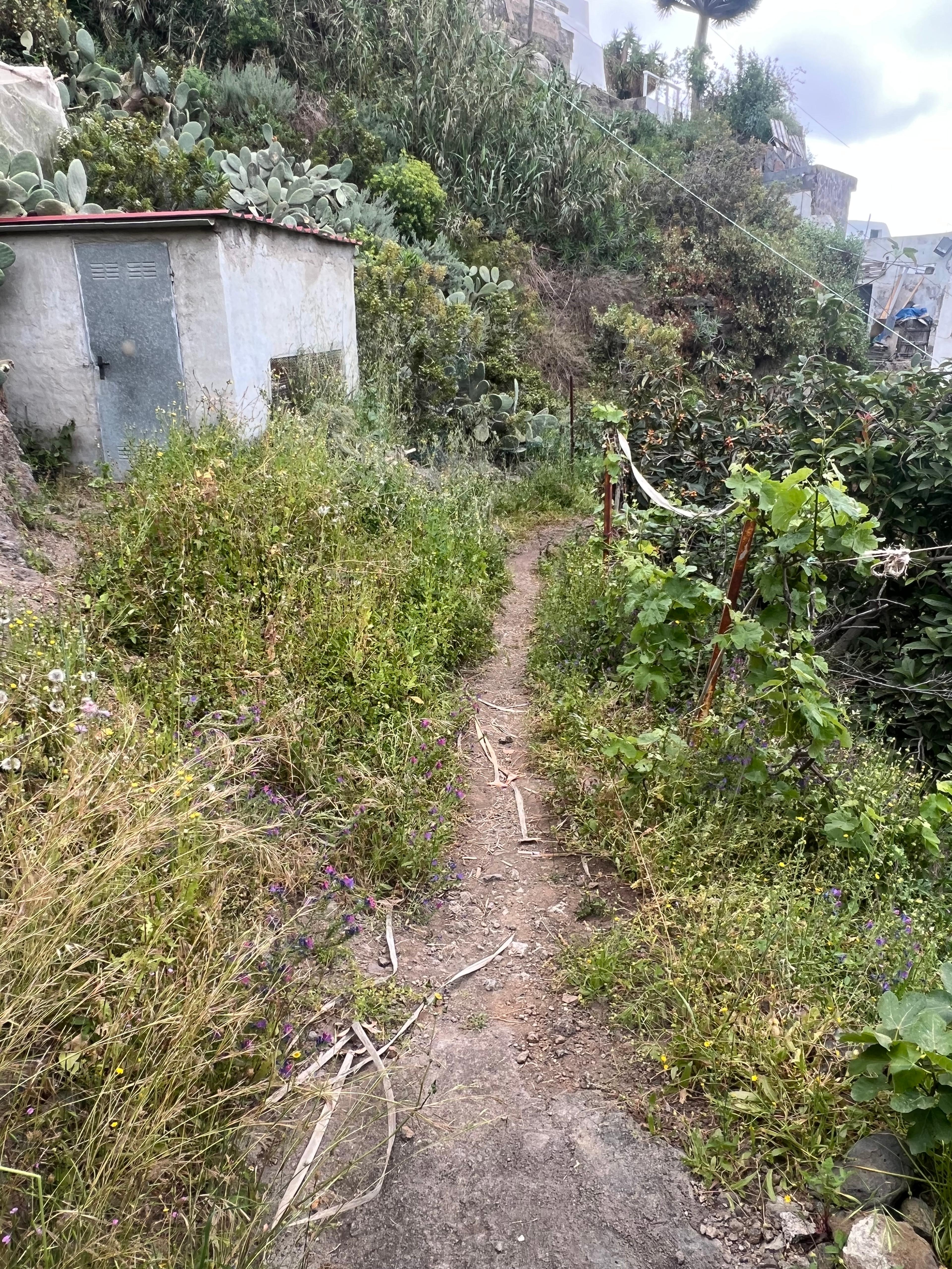 19c2365e-5744-4d65-9fe9-d6608f1b5586.jpeg