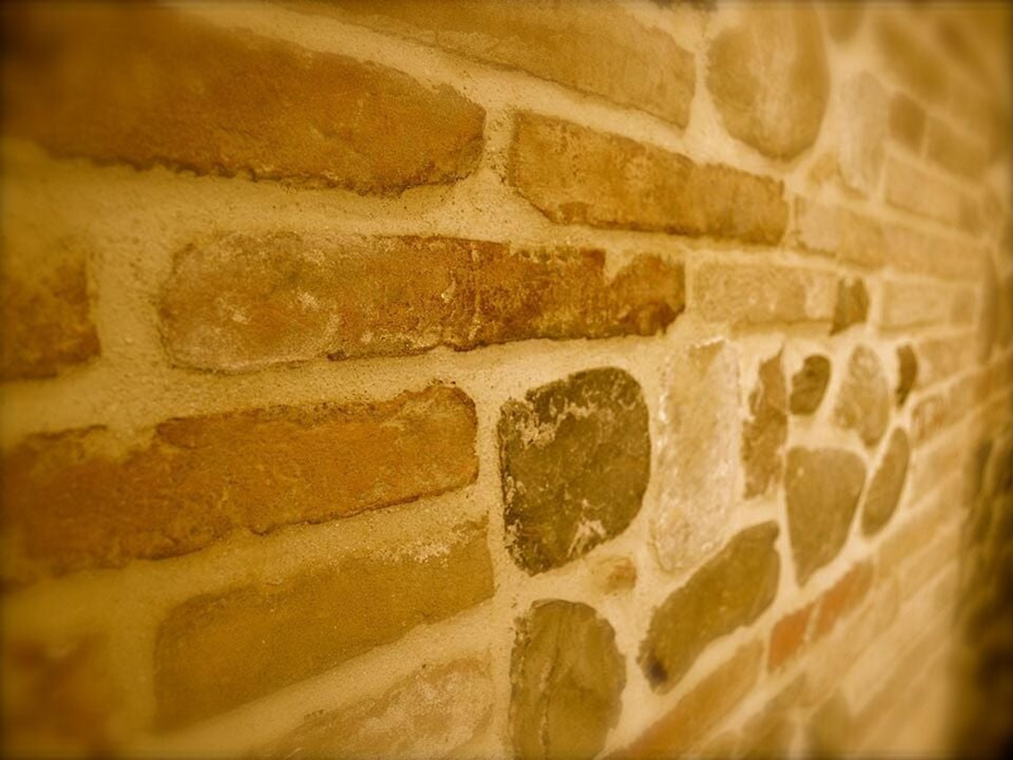 1a79a42f-07bf-423b-a698-373488722d23.jpeg