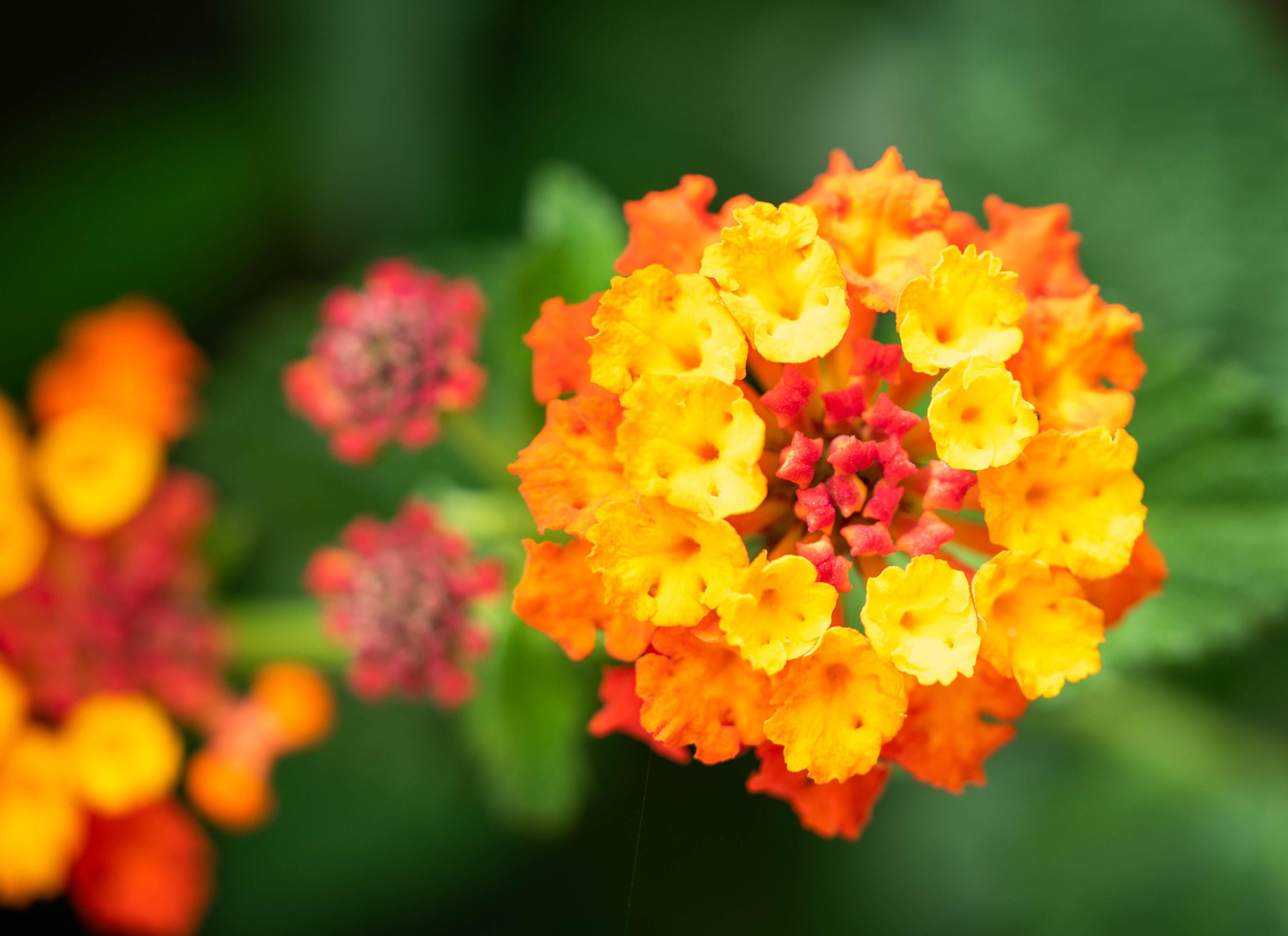 1ac0e313-299c-4113-ba21-e163b68b9897.jpeg