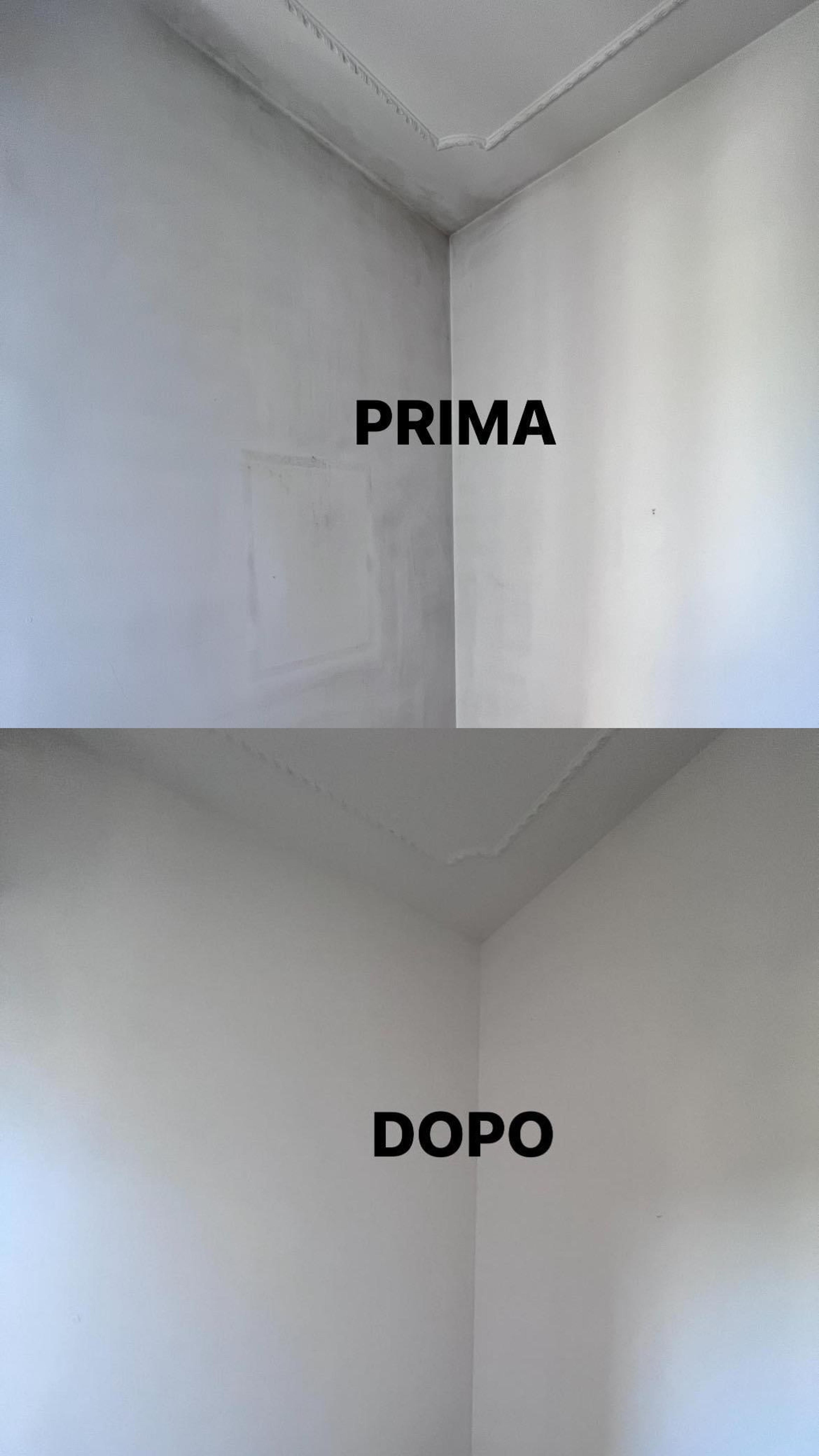 1ac4131f-c278-416f-8cfe-02bb80621f5e.jpeg