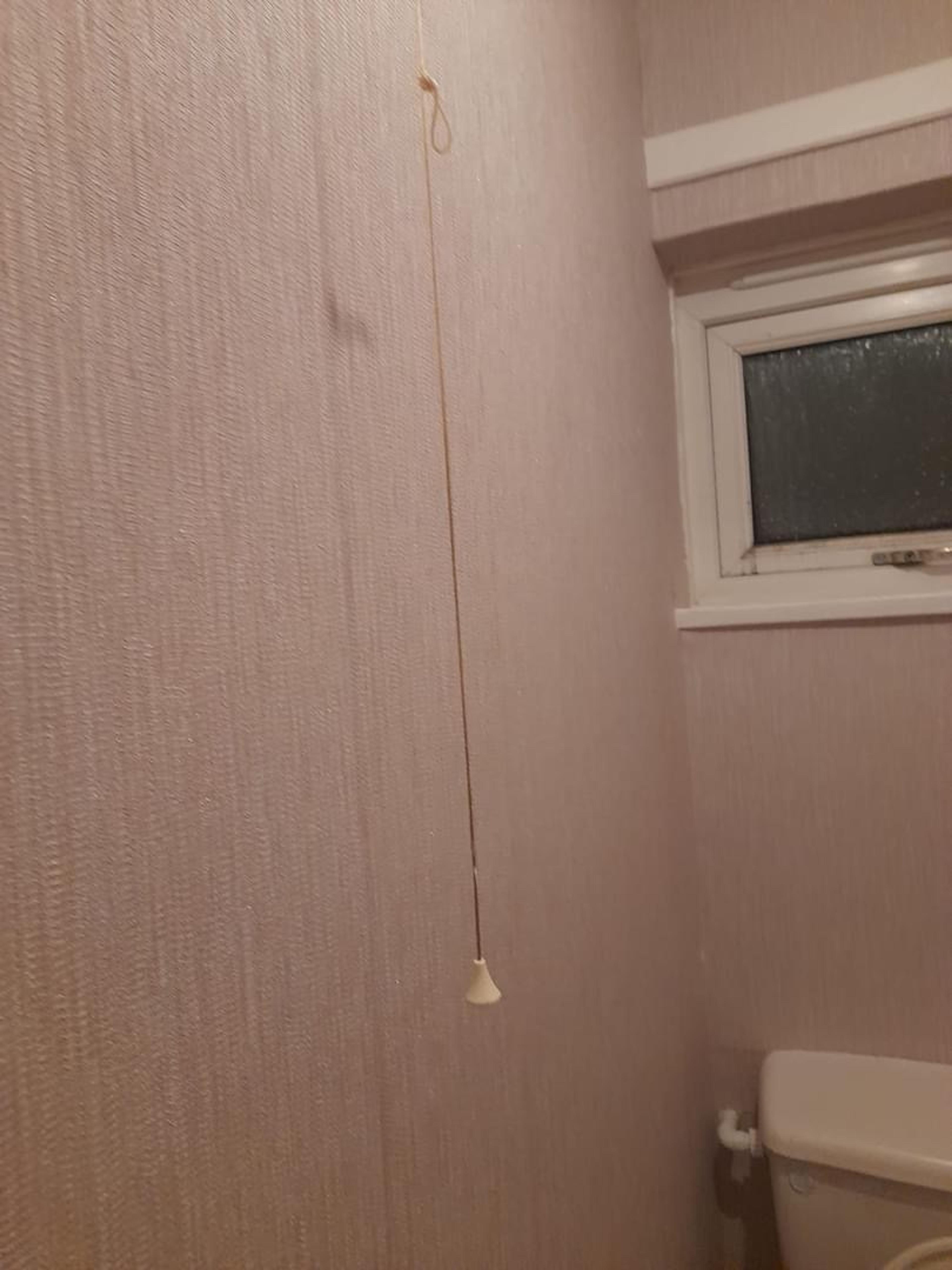 1affc036-7cfe-4788-9ee1-5c75a81cded8.jpeg