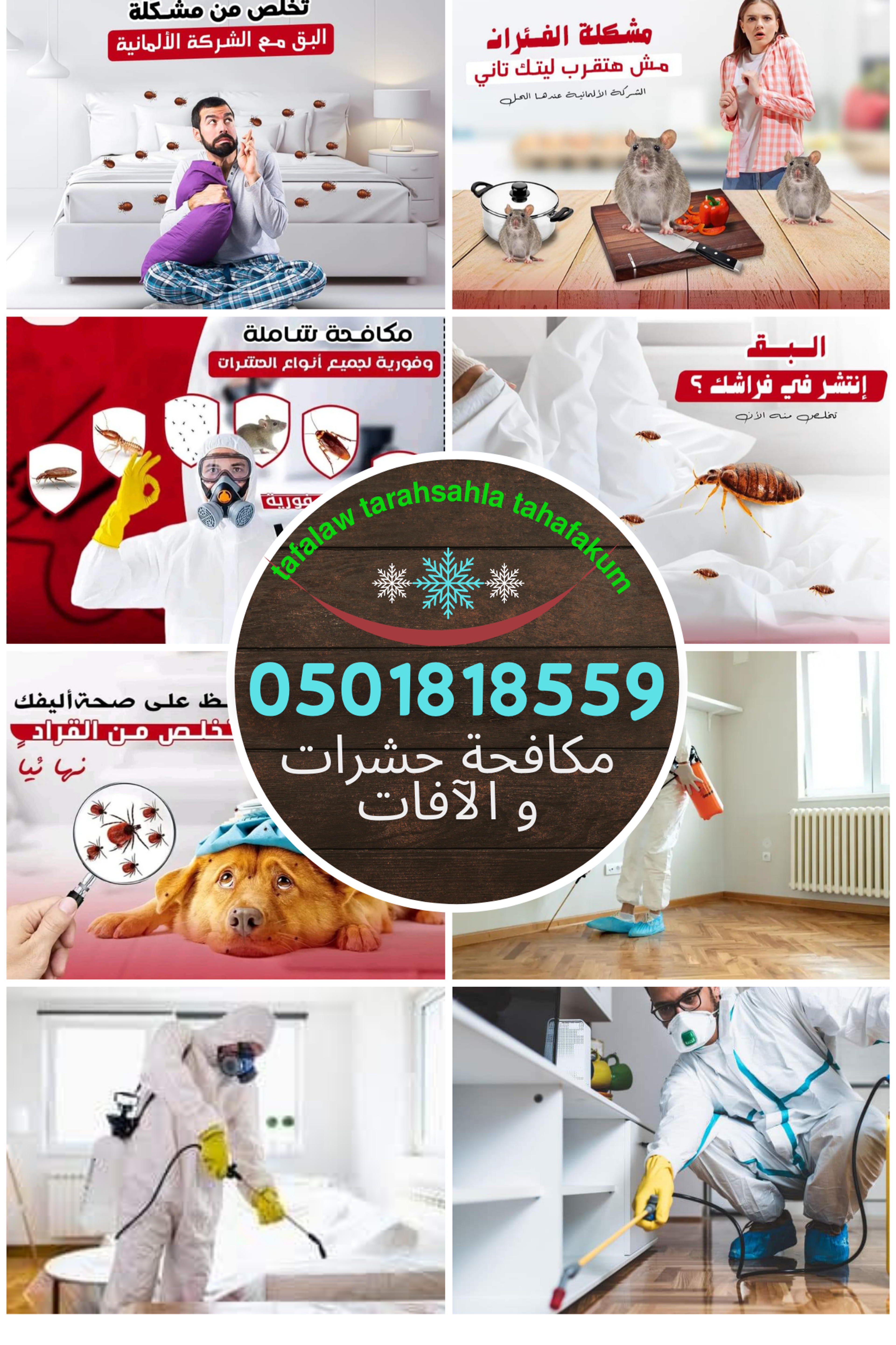 1bed1f15-26e3-4f08-9ea2-ed97284a06f6.png