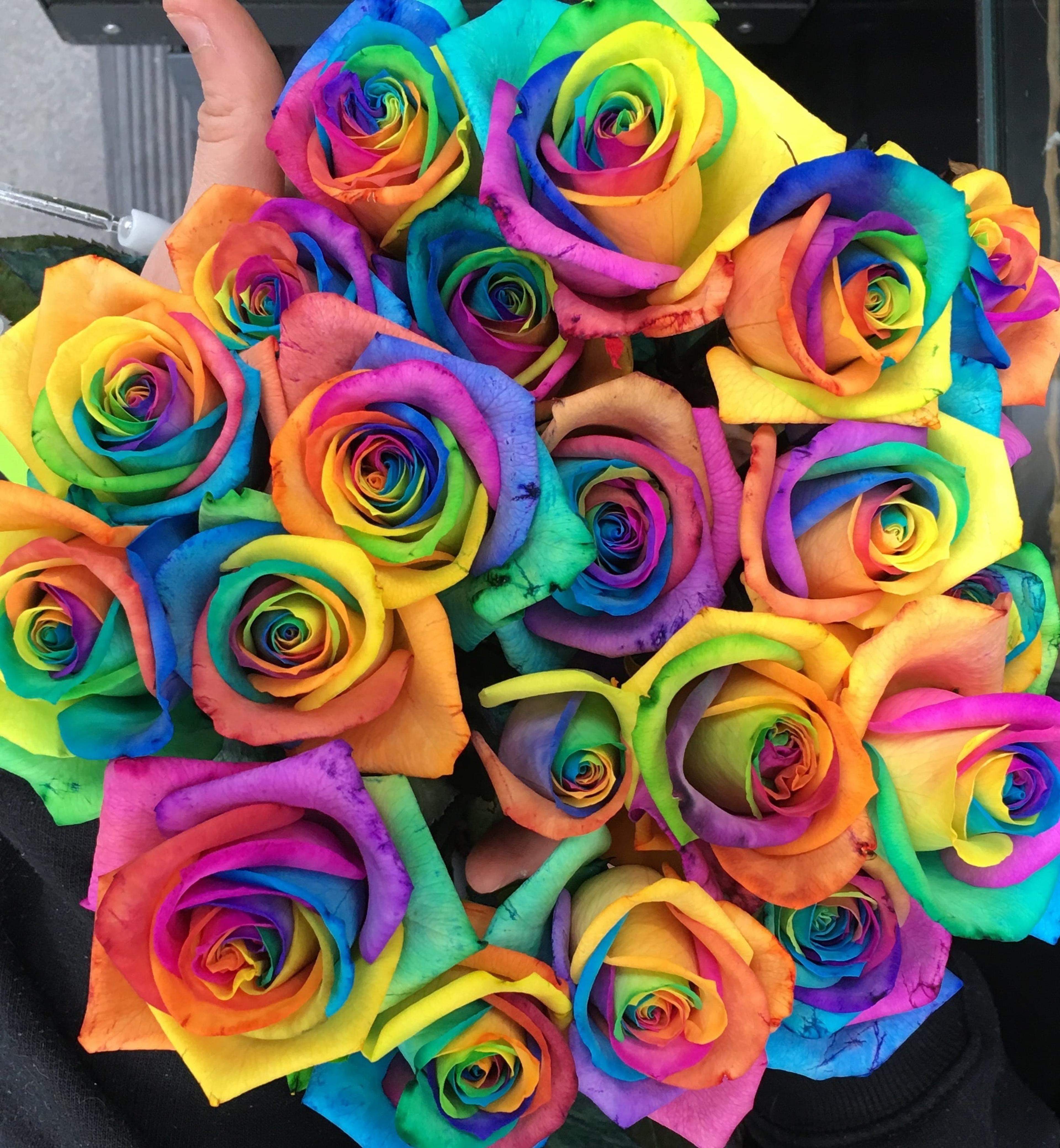 1c259bf4-31b4-4d15-95eb-61bfa64759c3.jpg