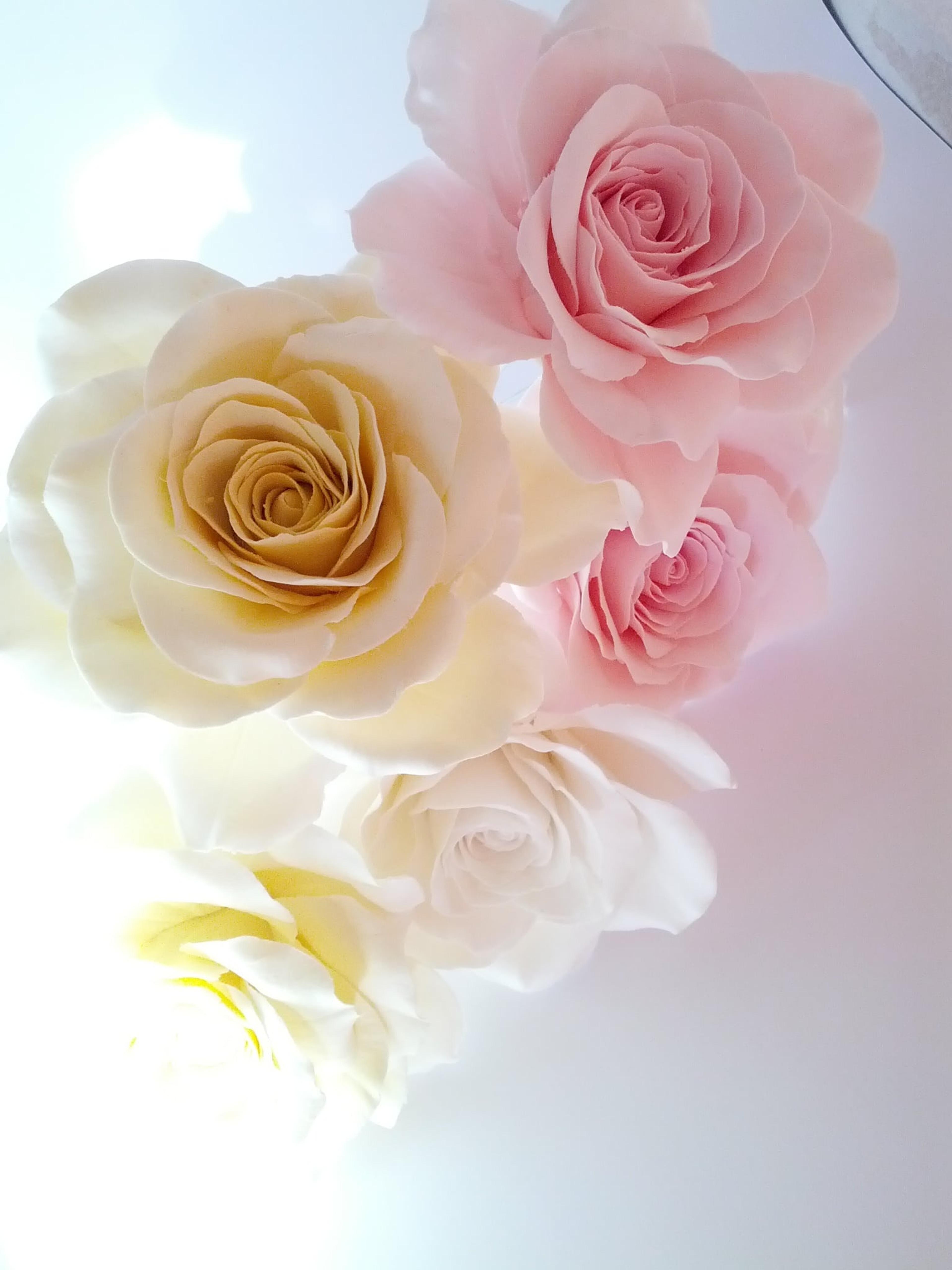 1c8cf24c-c2fb-43ef-87f7-661741317401.jpeg
