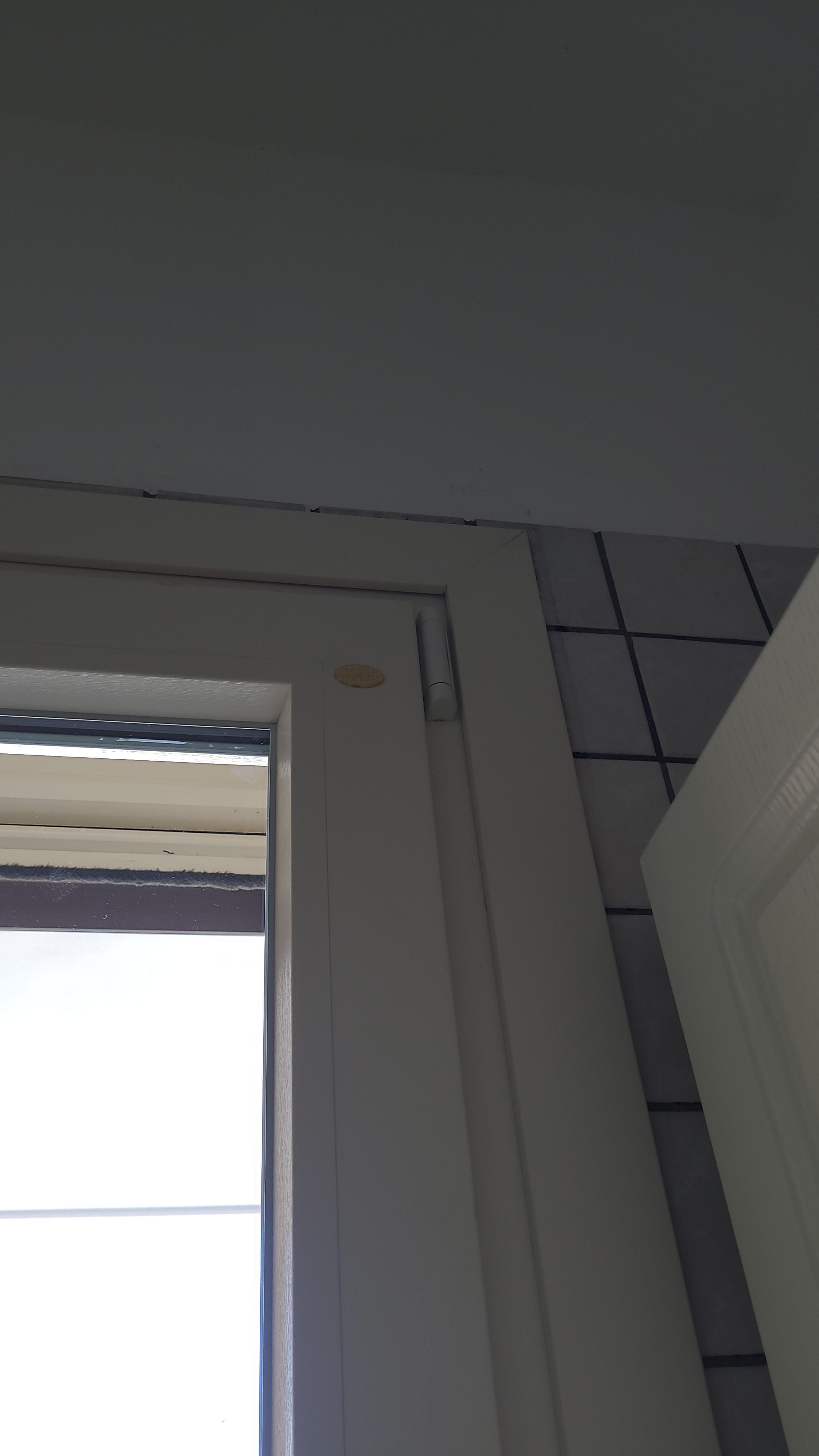 1ca771df-abfc-4e1f-b721-04b91ea22608.jpeg