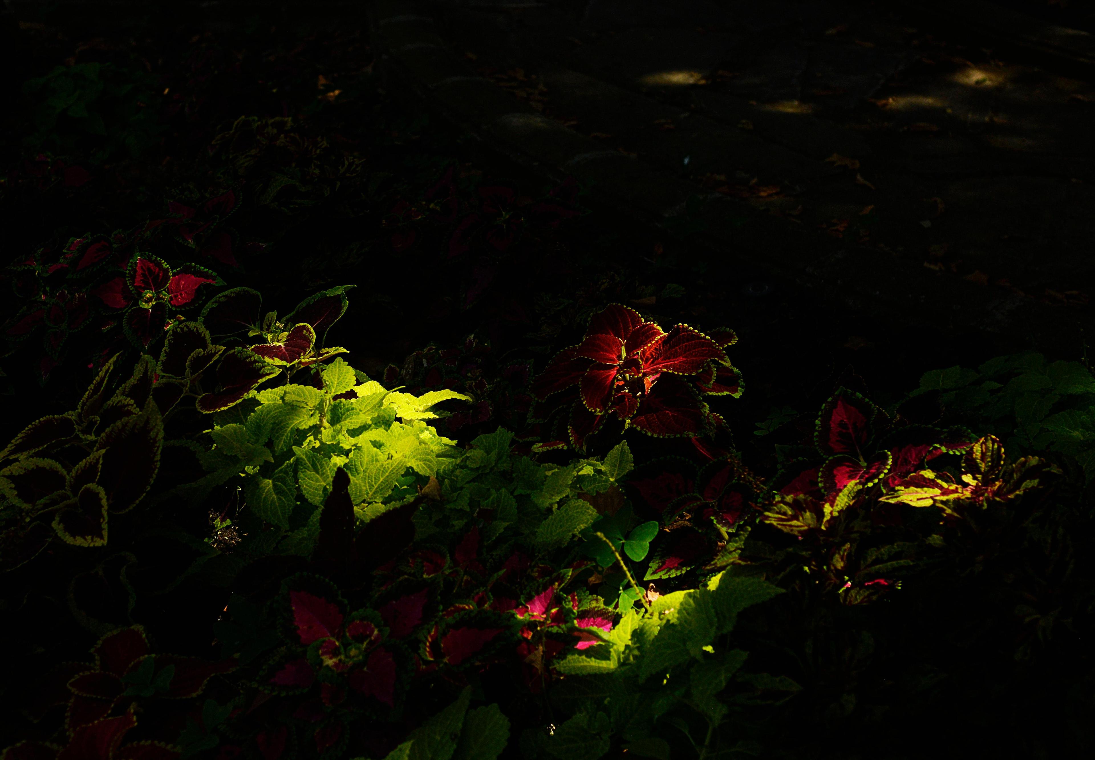 1e368dbe-8836-4c2b-a61e-08f07124e4a4.jpeg