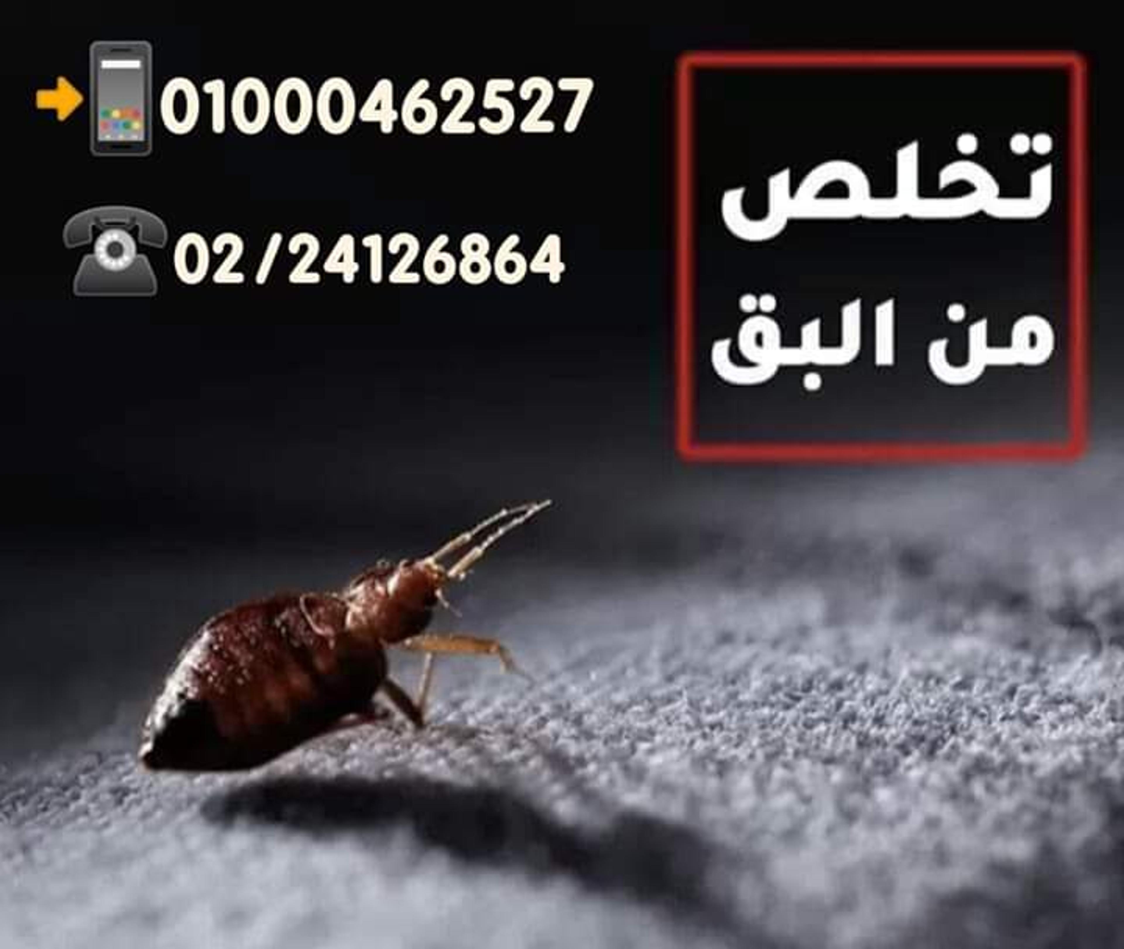 1e3bb550-52bd-4aa5-a3e3-2e6183489ba1.jpg