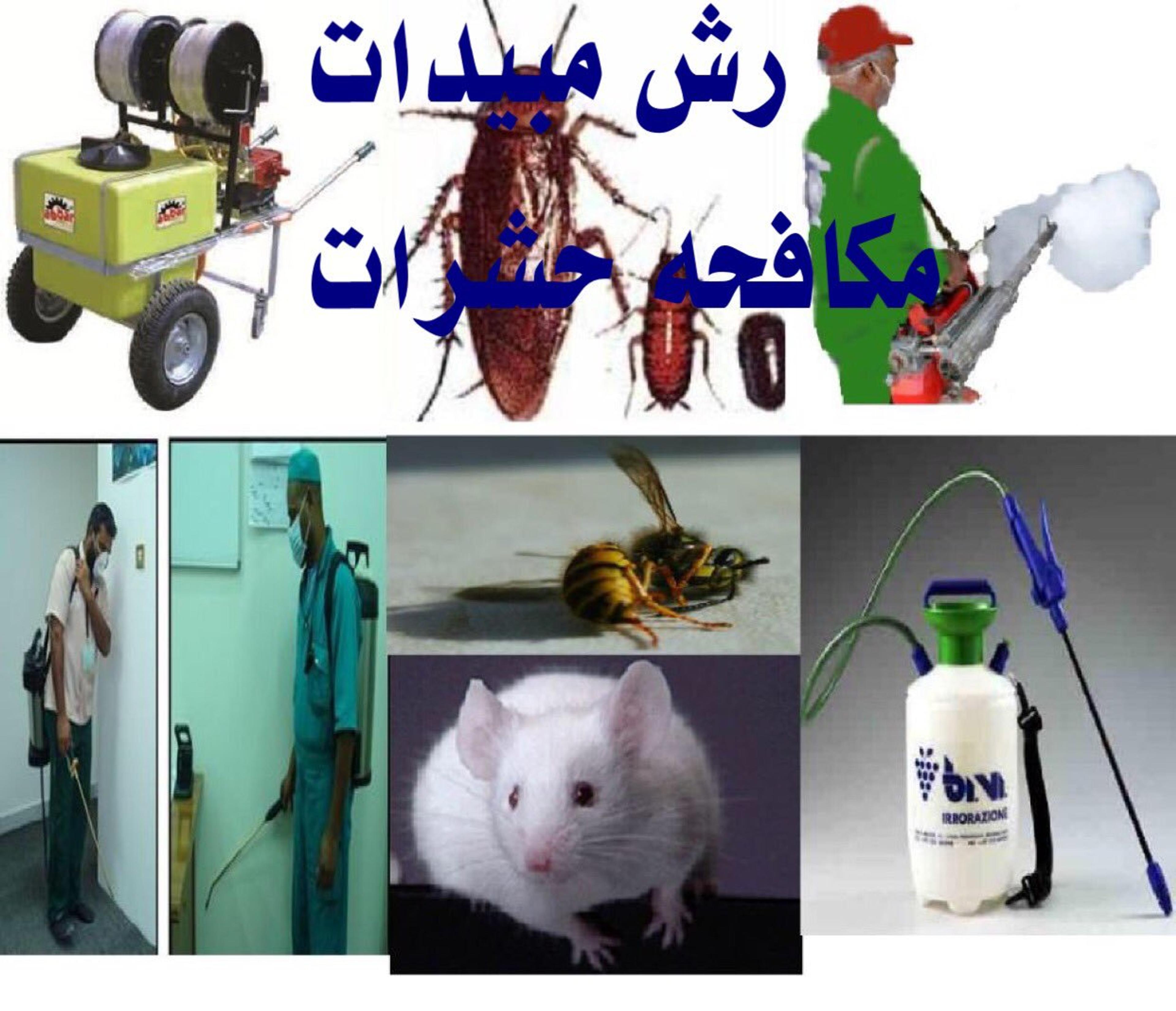 1e7c7fb0-41ac-44f2-89ec-ac692075d283.jpg