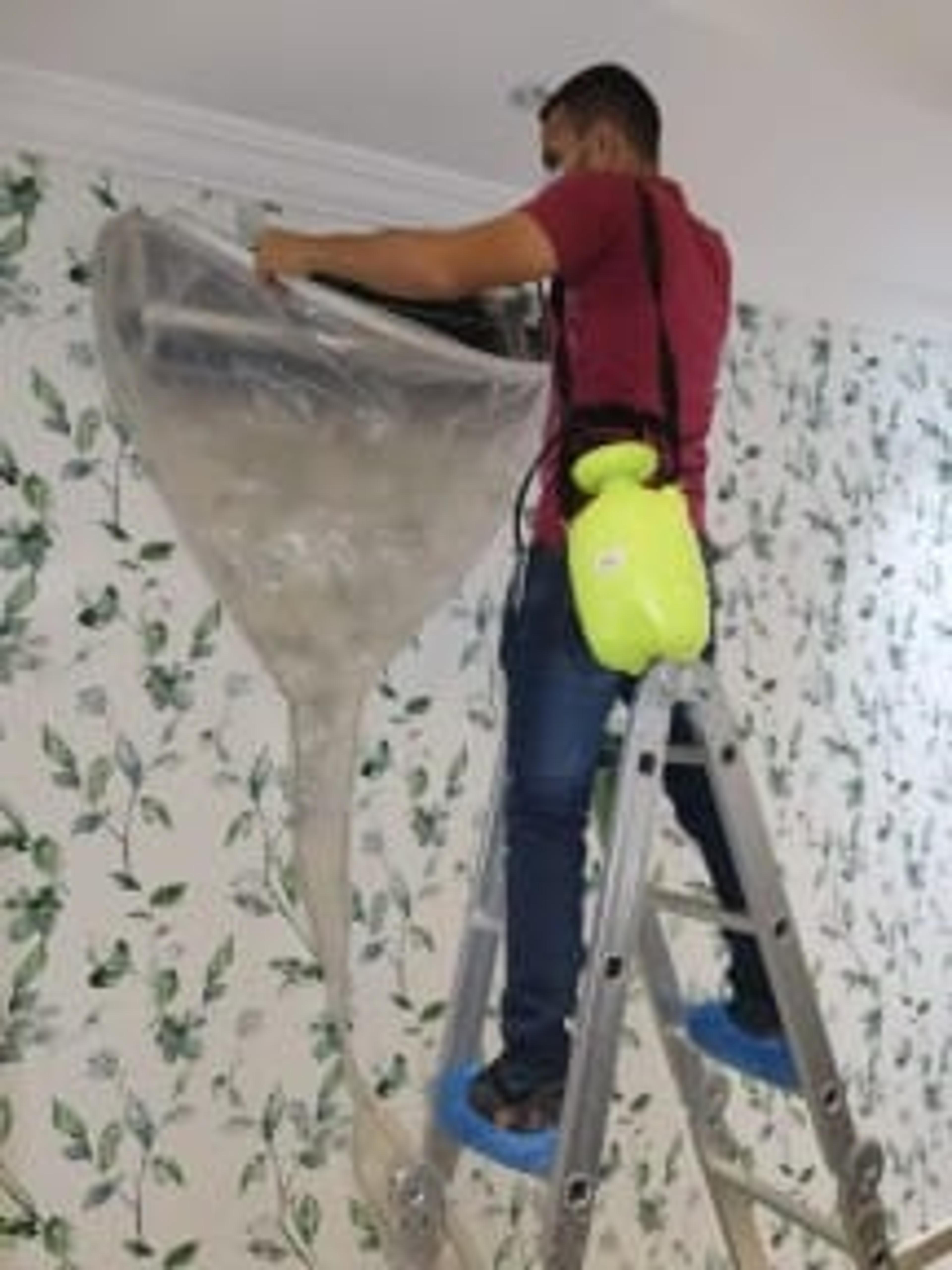 1e81d36d-30ac-403f-9ee4-f2a9a08723e5.jpeg