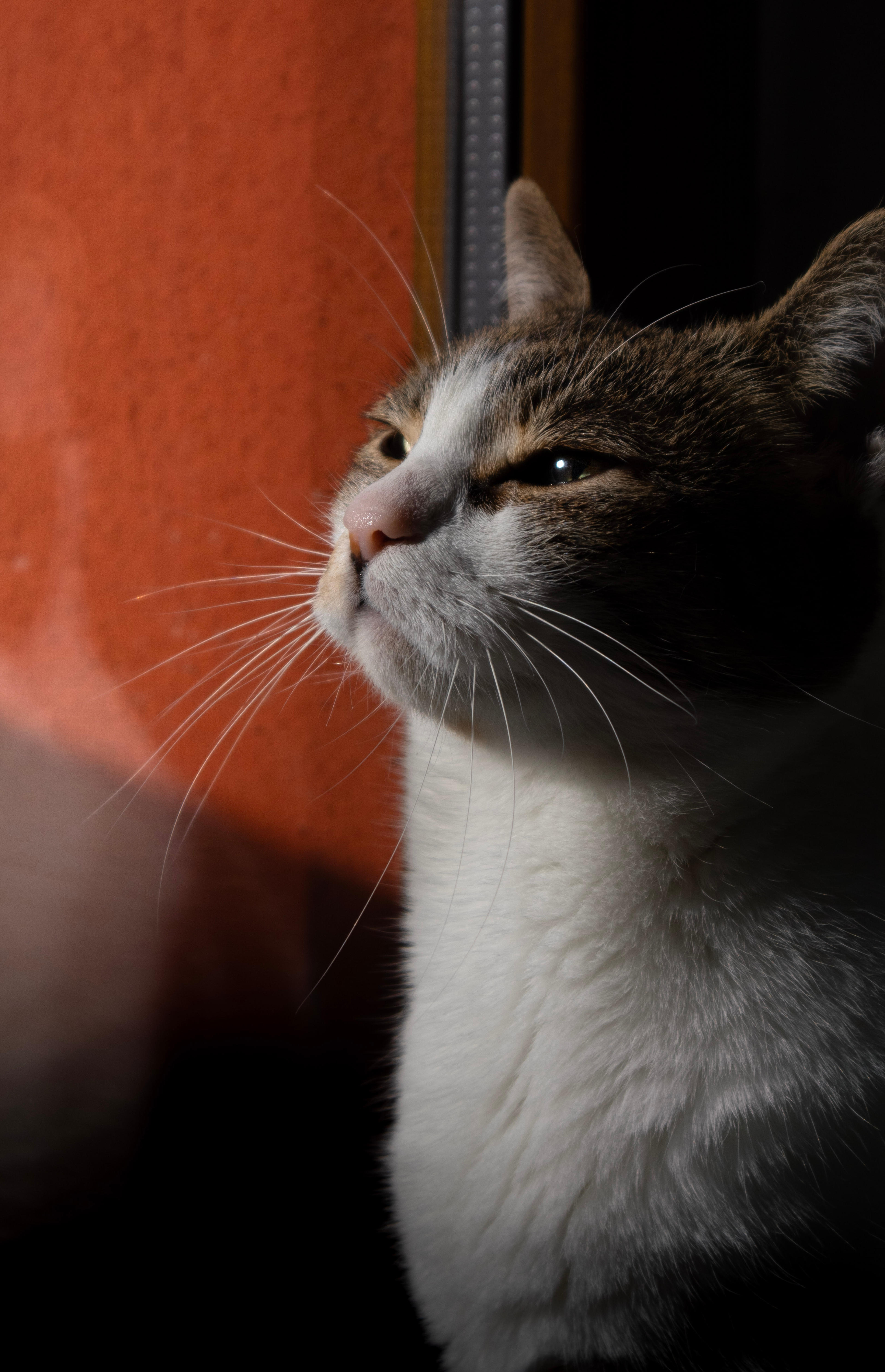 1eb976b0-1f1c-427d-ae98-2fc7cb4481d9.jpeg