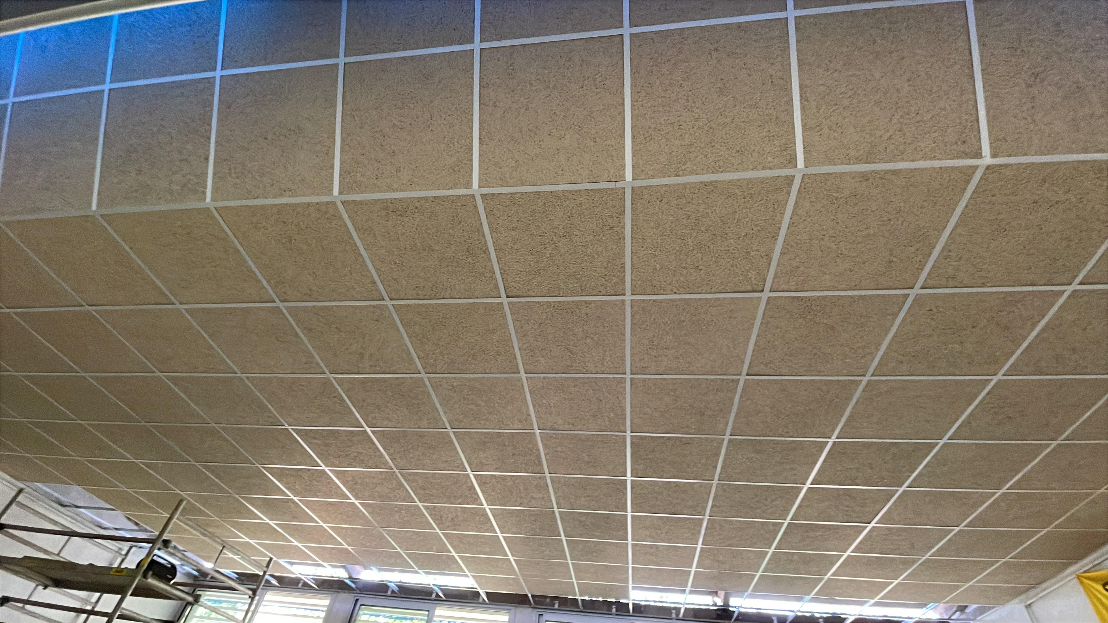 1ee6d223-c832-40d3-89de-feafcb0c5b2c.jpeg