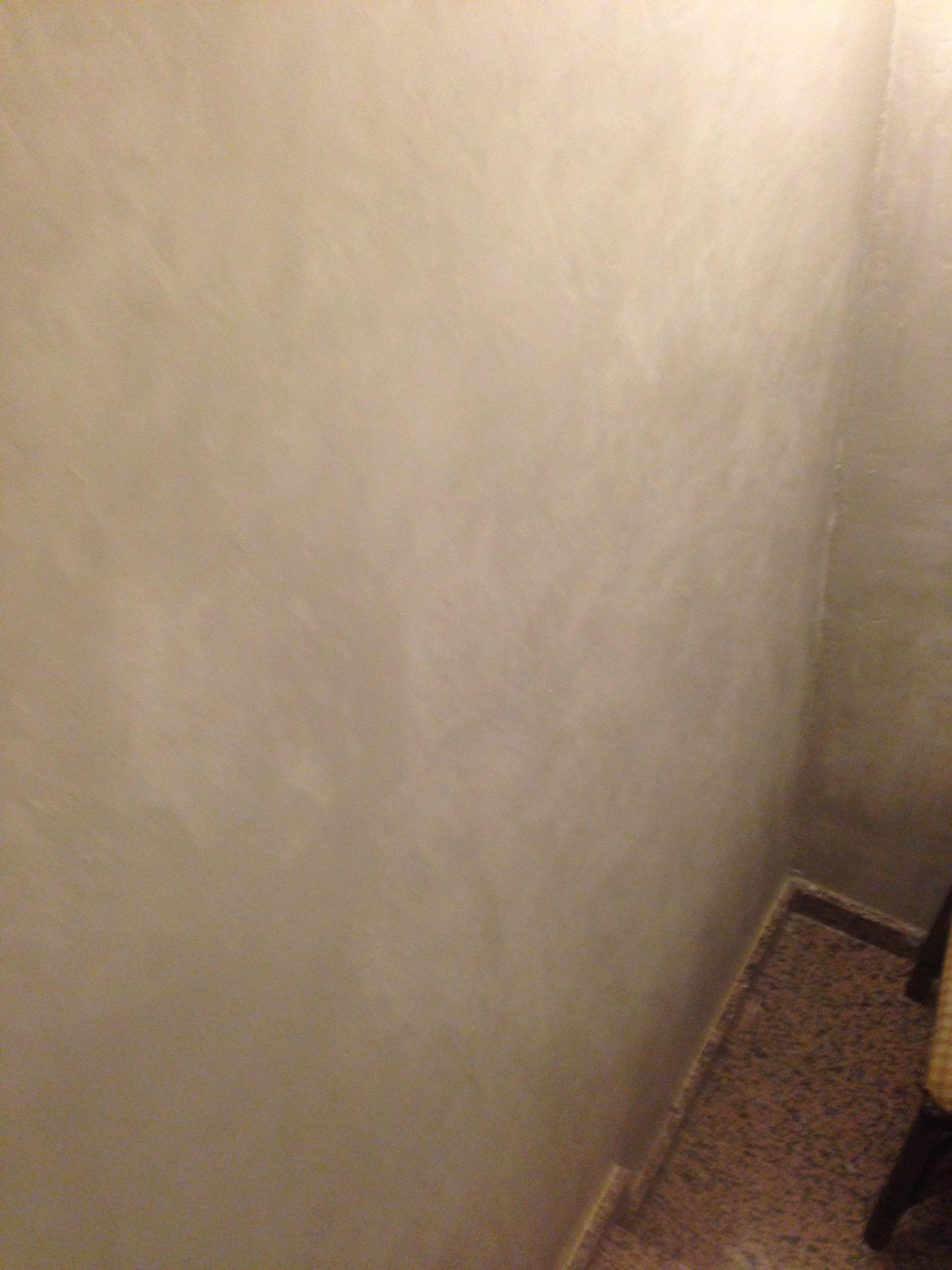 1f2d02e0-a0d7-4644-be55-07e1c7546cab.jpeg