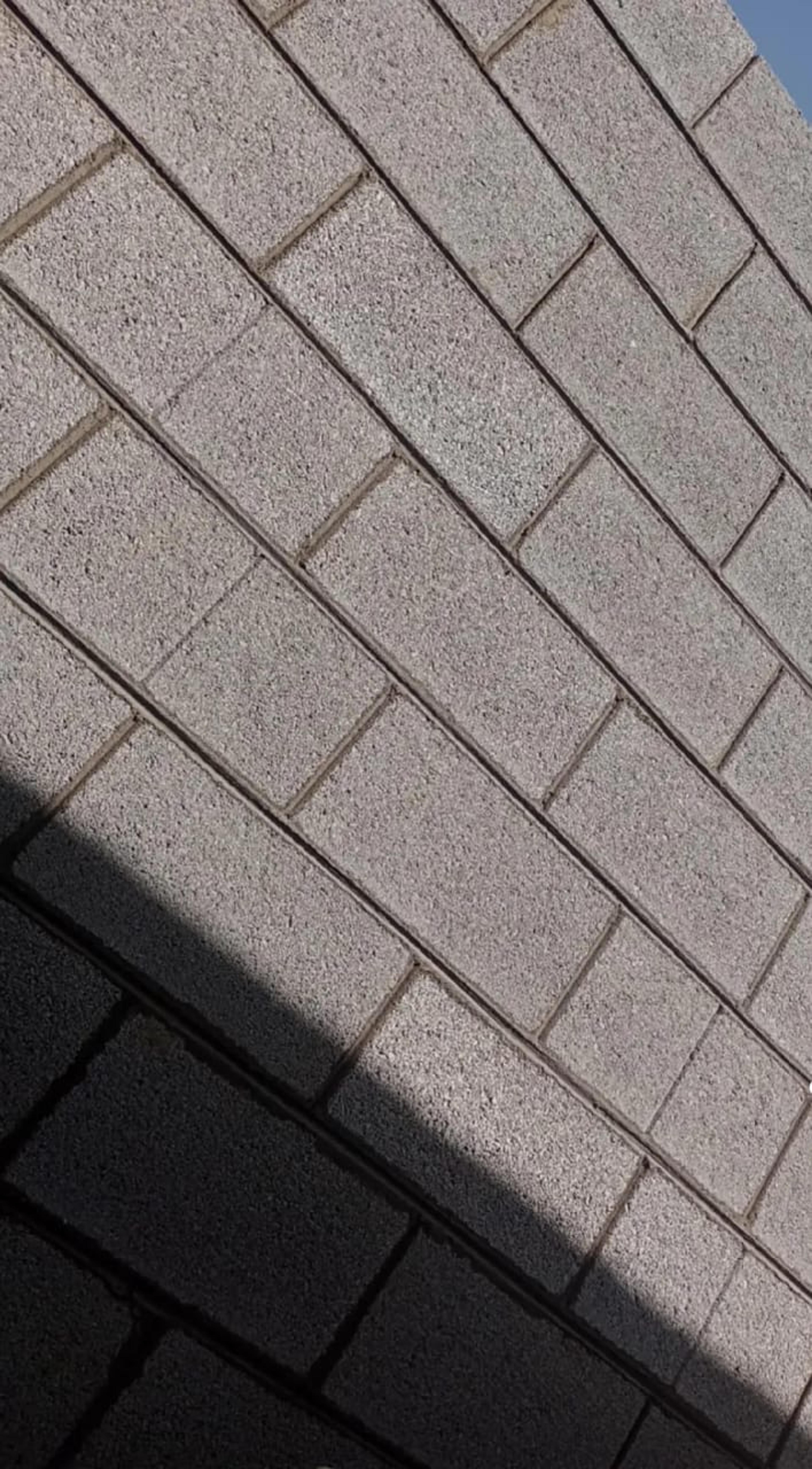 2000121d-960f-4c89-9695-512e03f72458.jpeg